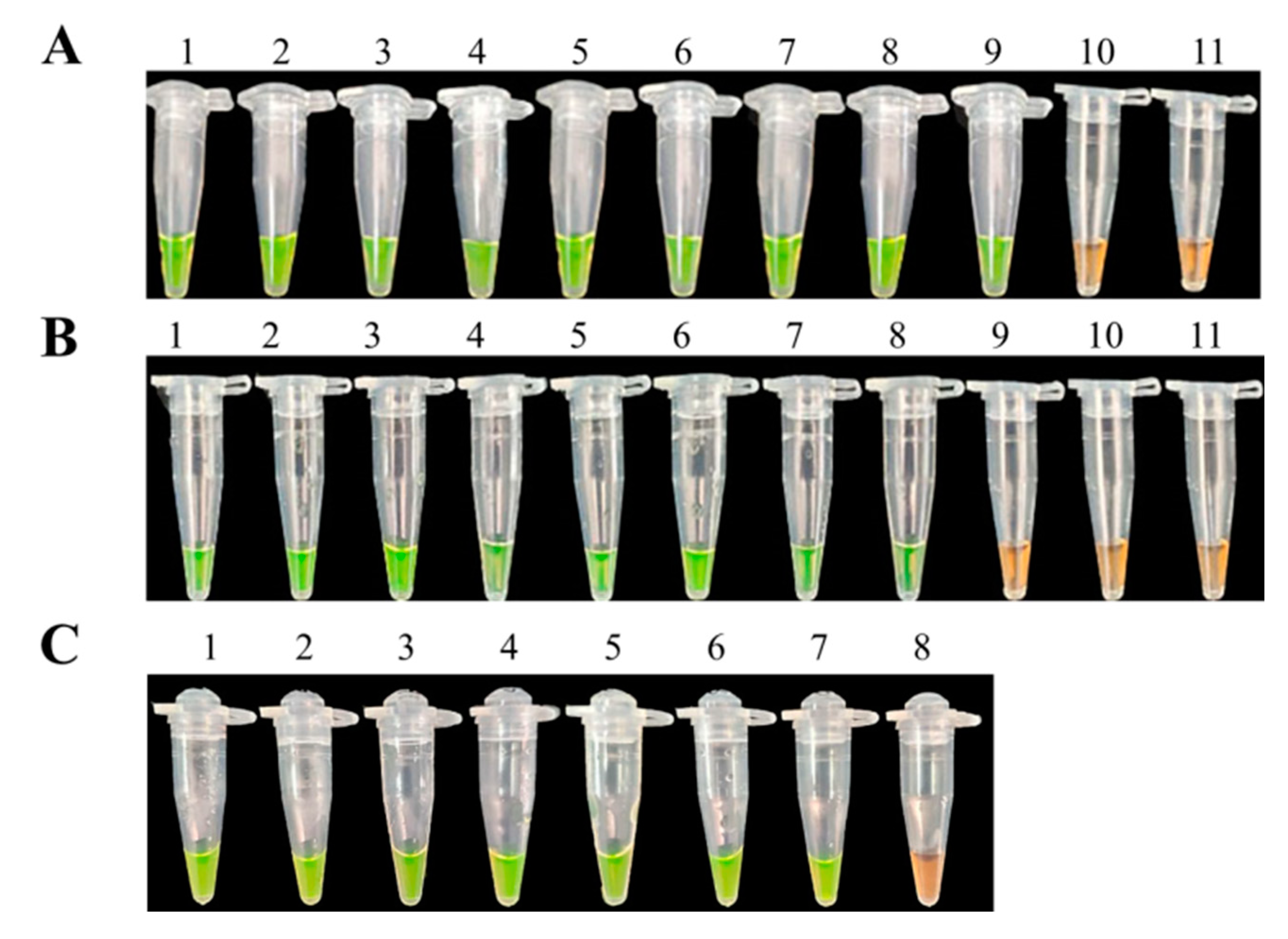 Biology 10 01136 g007