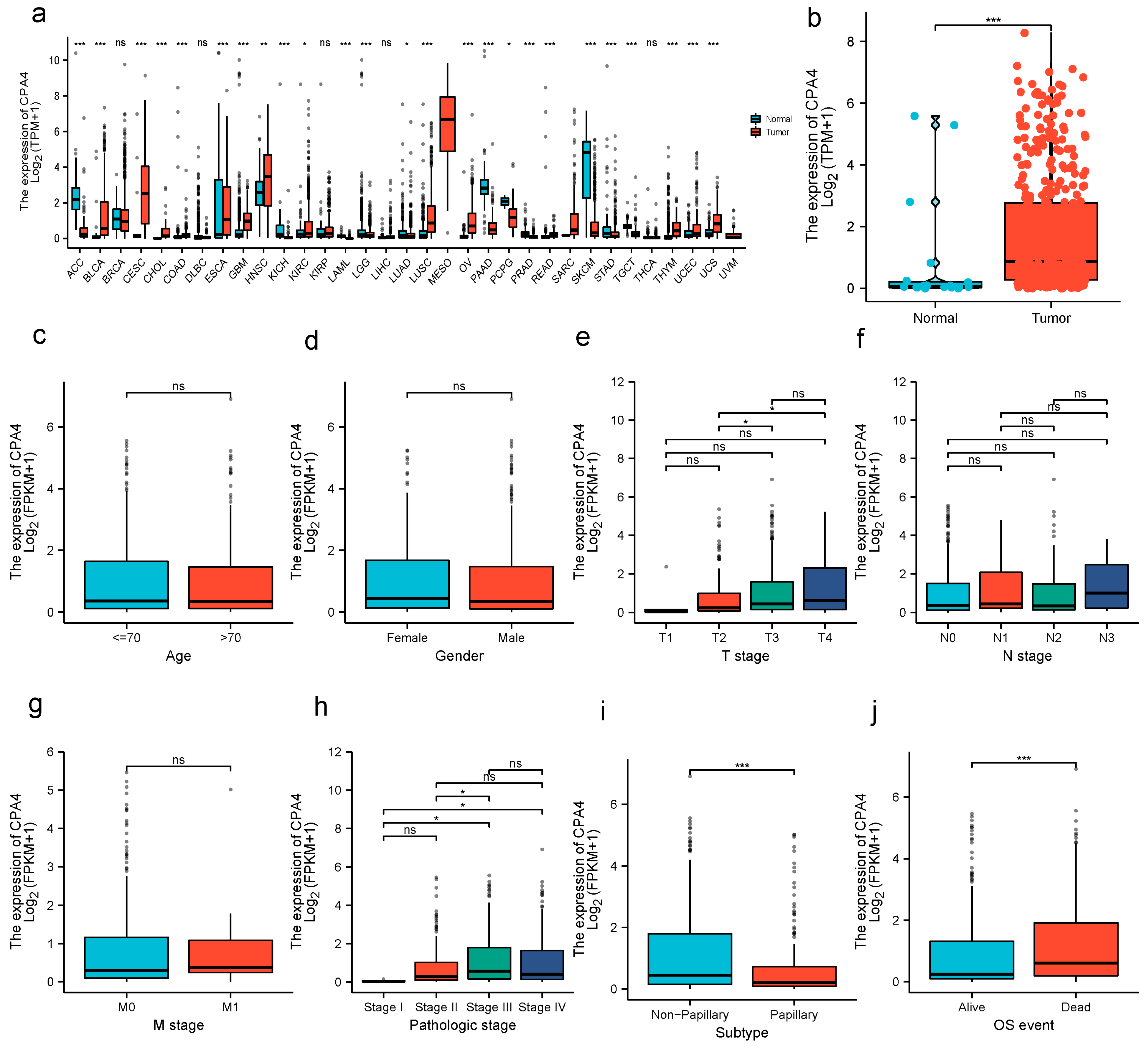 Biology 10 01143 g001