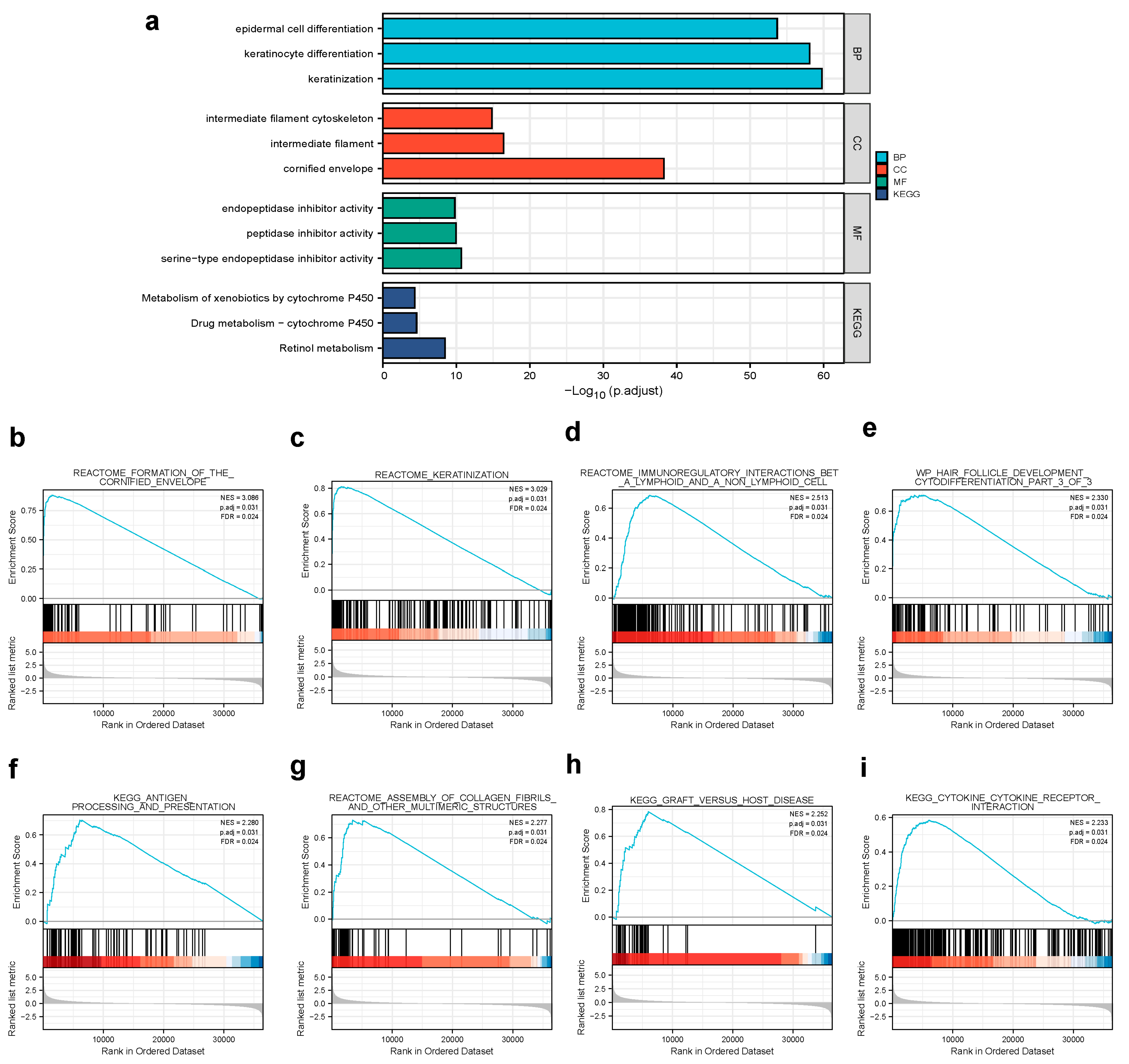 Biology 10 01143 g004