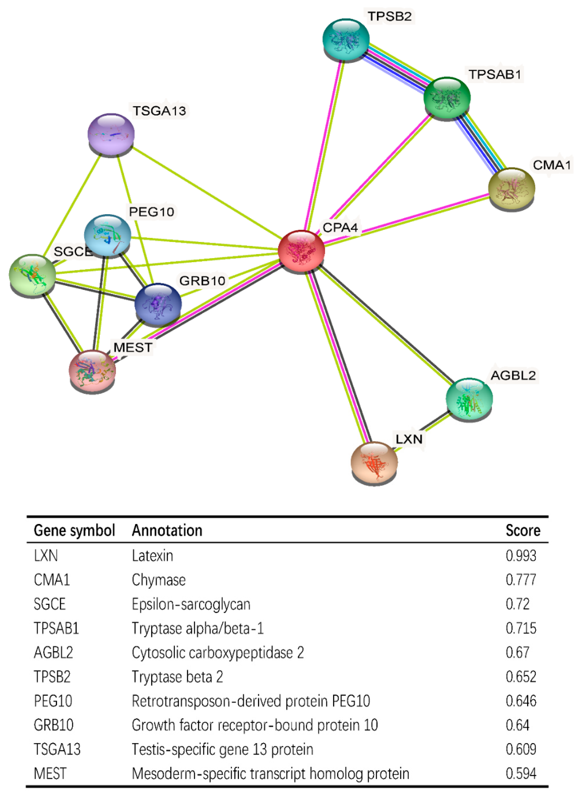 Biology 10 01143 g007