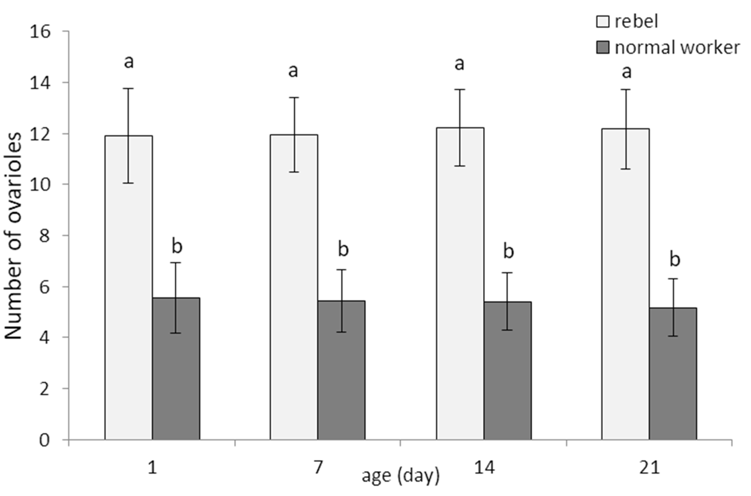 Biology 10 01146 g001