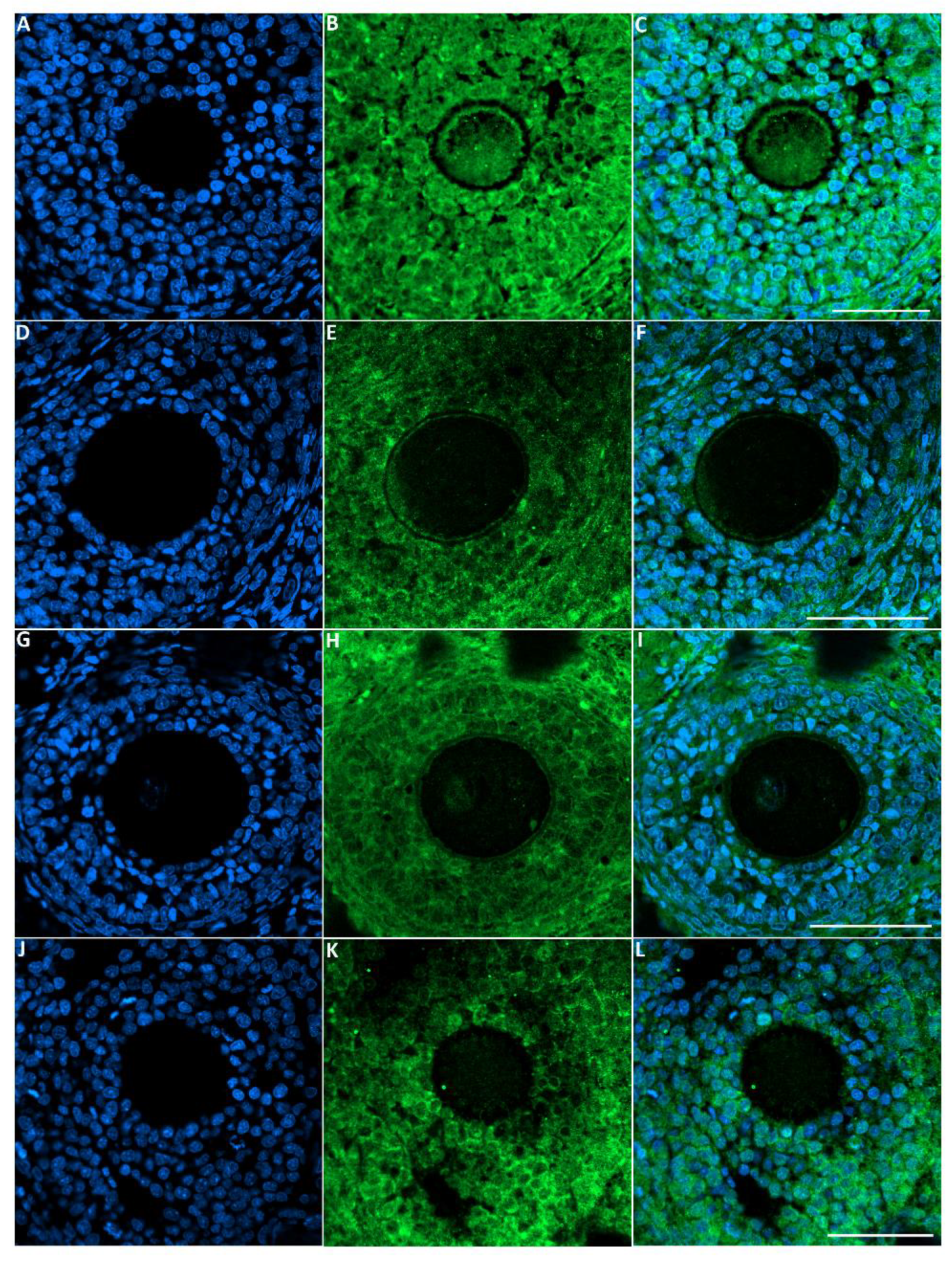 Biology 10 01153 g005