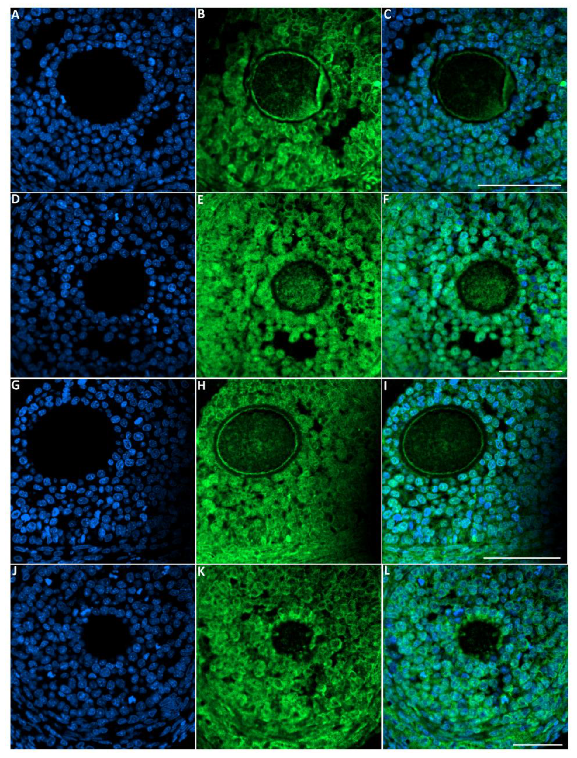 Biology 10 01153 g007