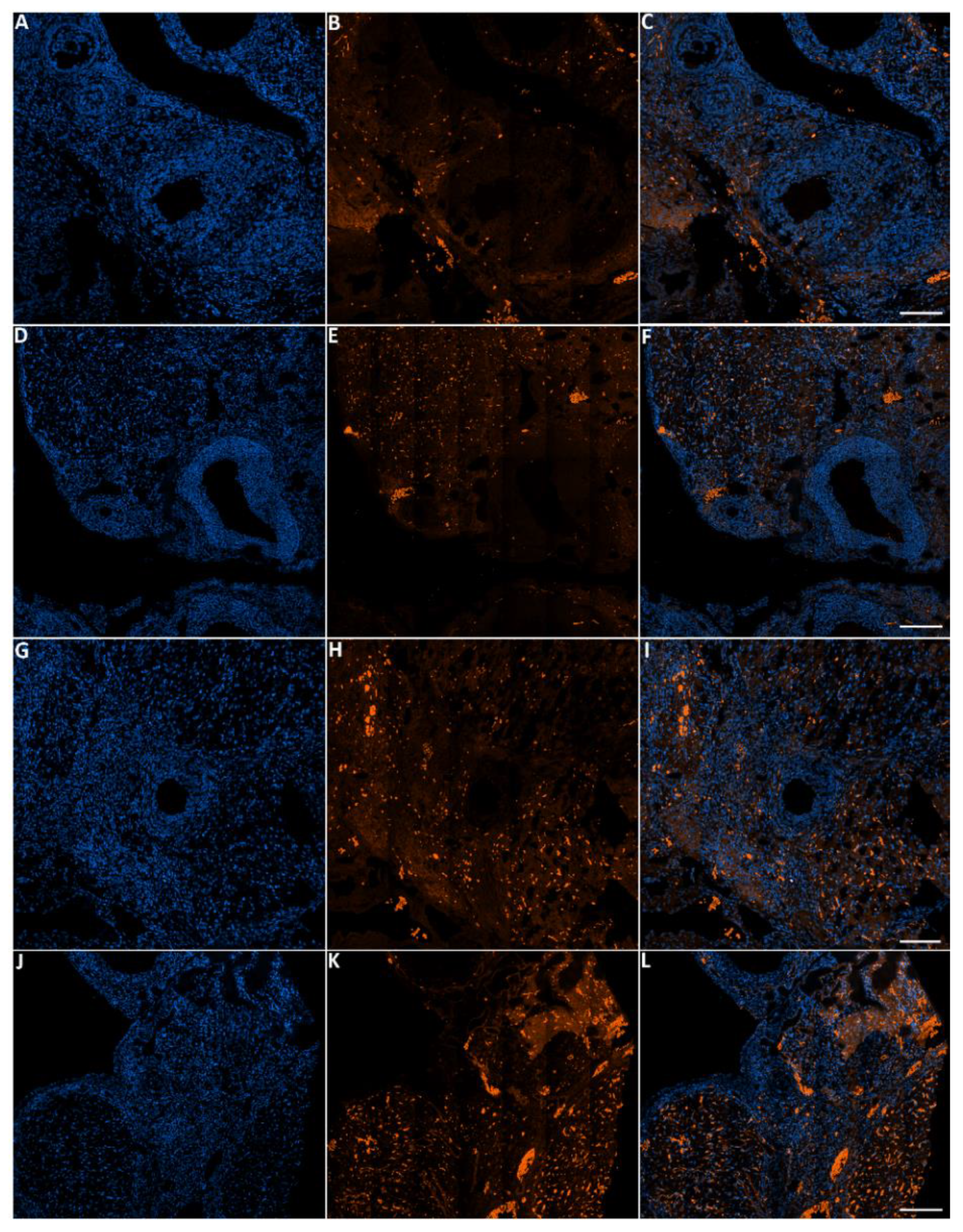 Biology 10 01153 g009