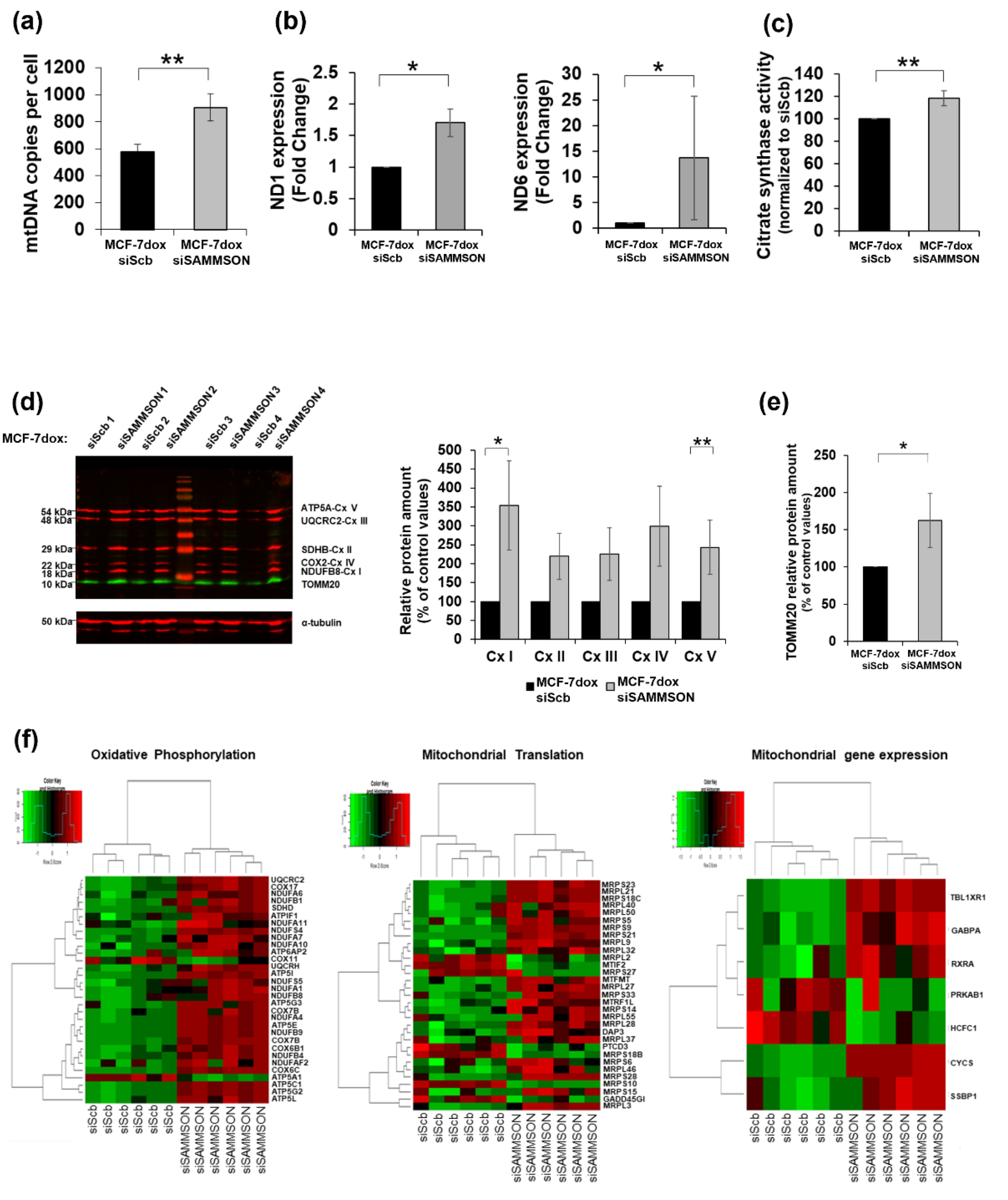 Biology 10 01156 g003
