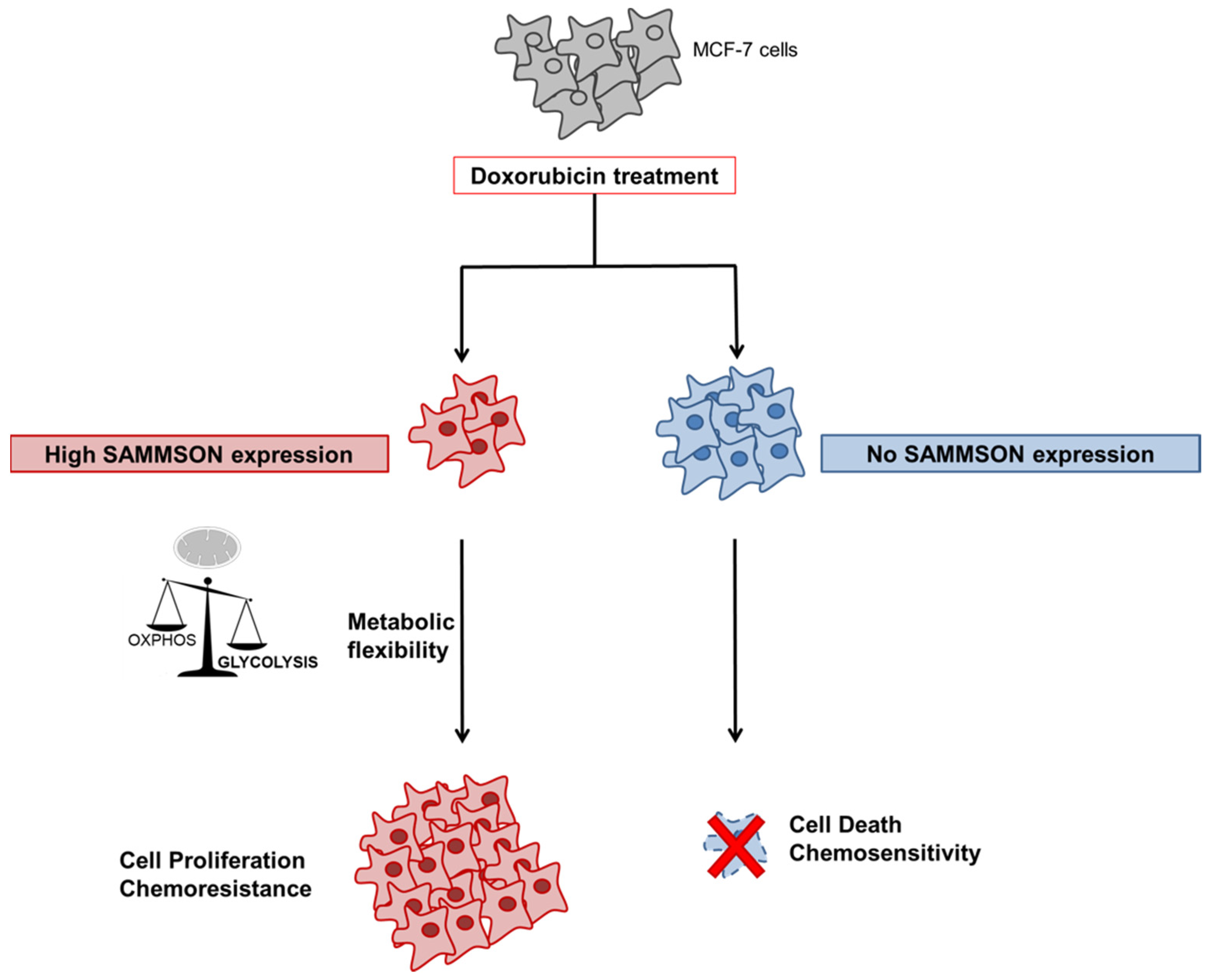Biology 10 01156 g004