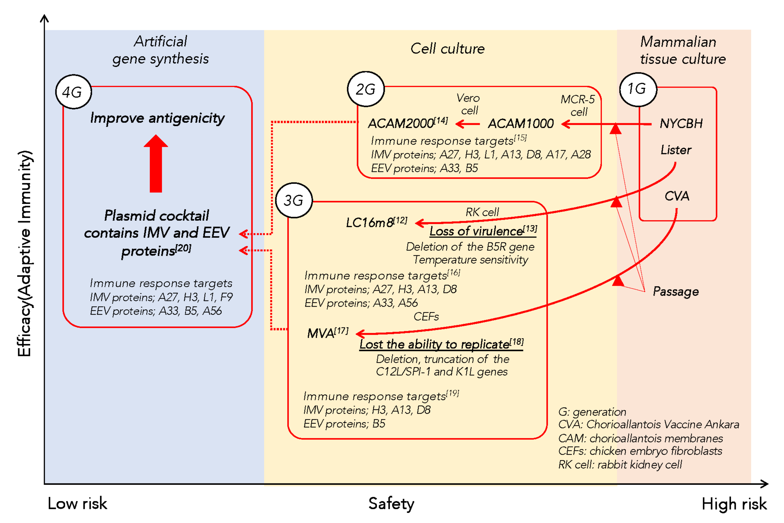Biology 10 01158 g001