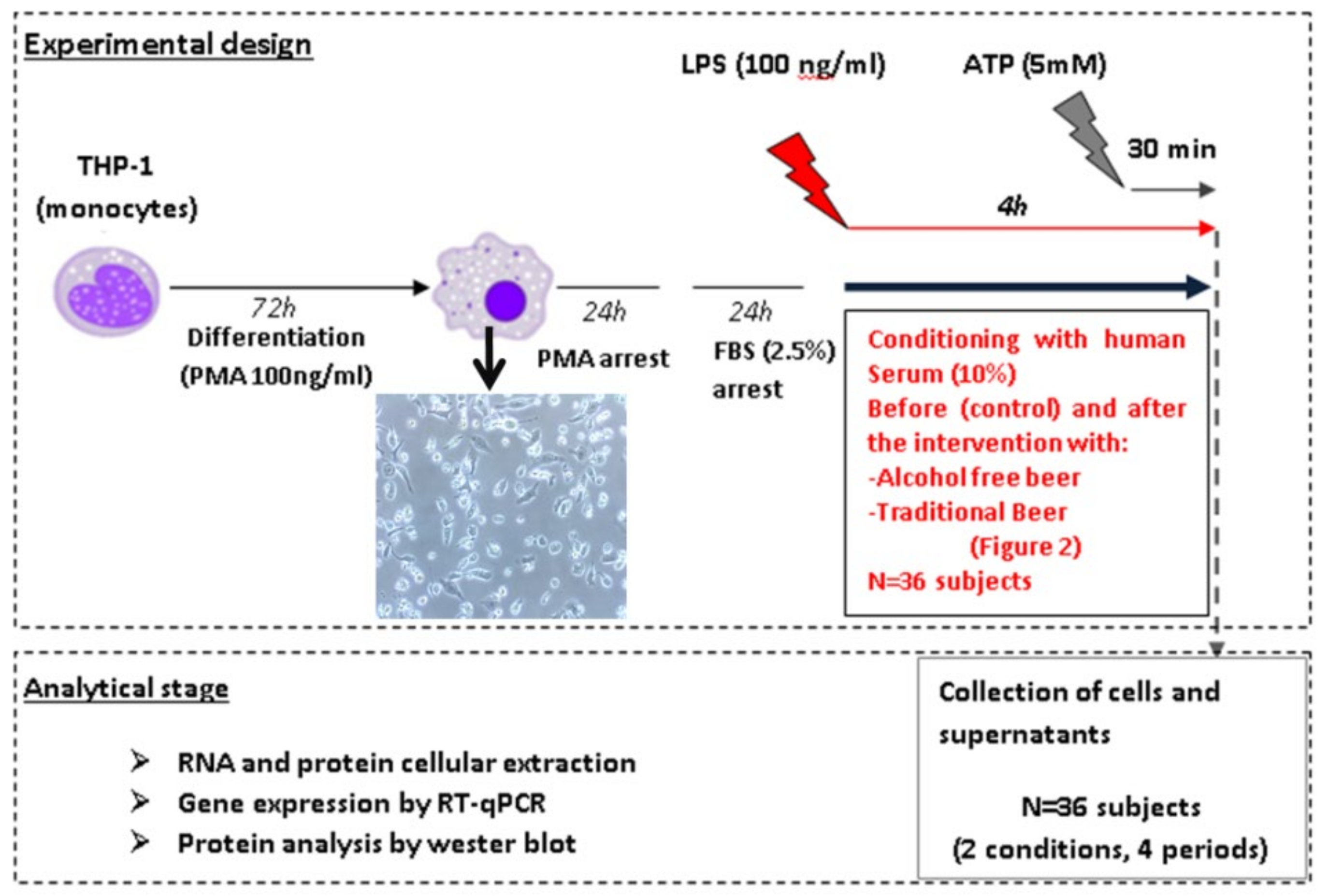 Biology 10 01159 g002