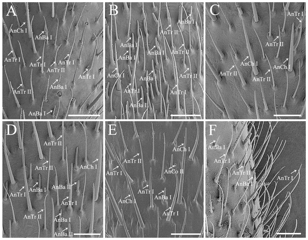 Biology 10 01161 g002 Biology 10 01161 g002