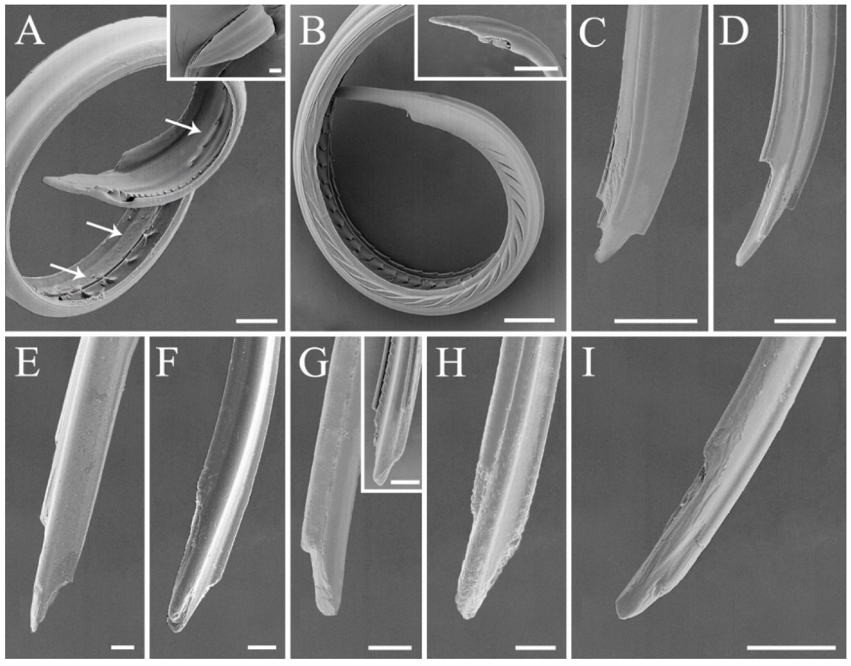 Biology 10 01161 g008 Biology 10 01161 g008