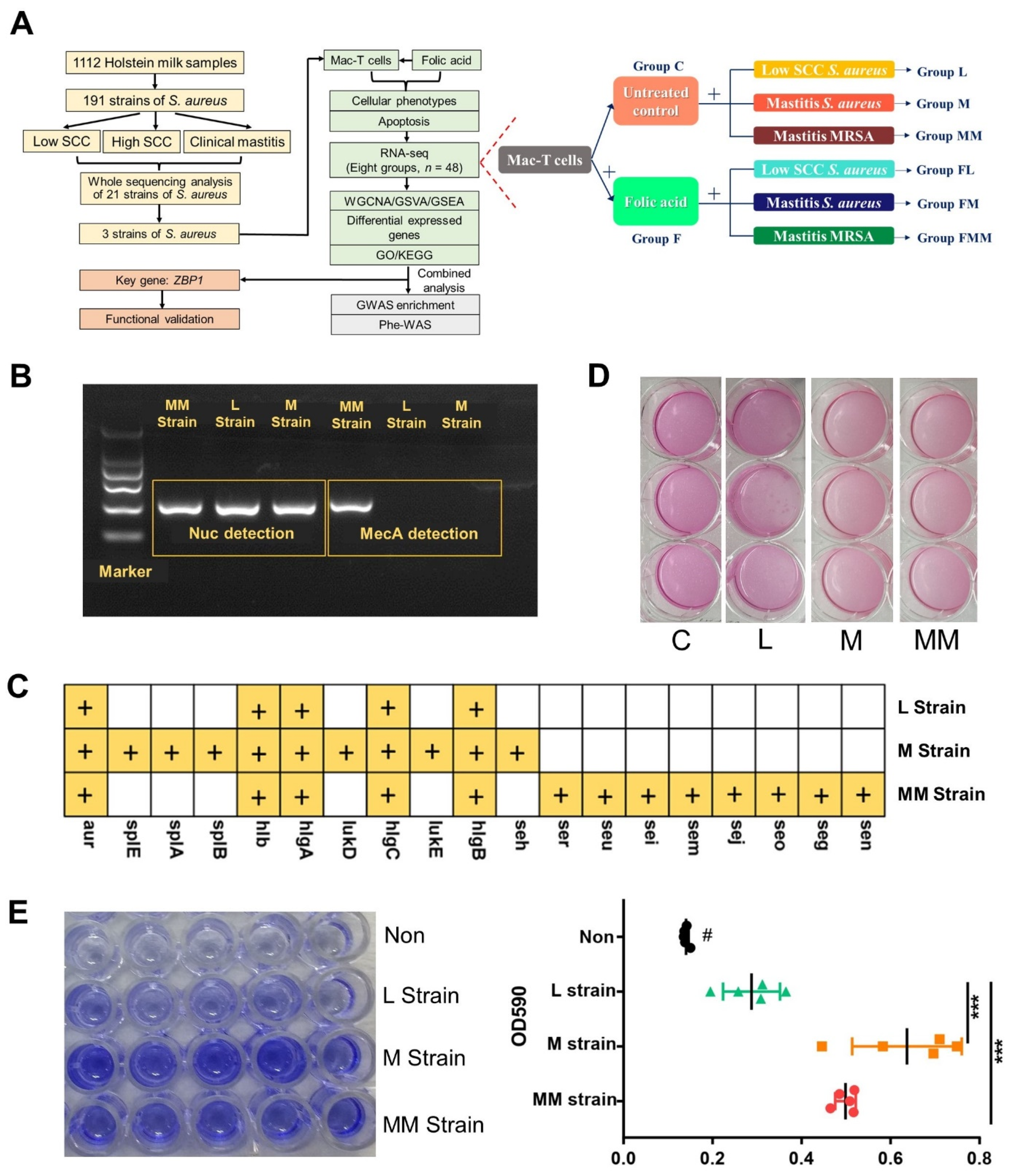 Biology 10 01164 g001