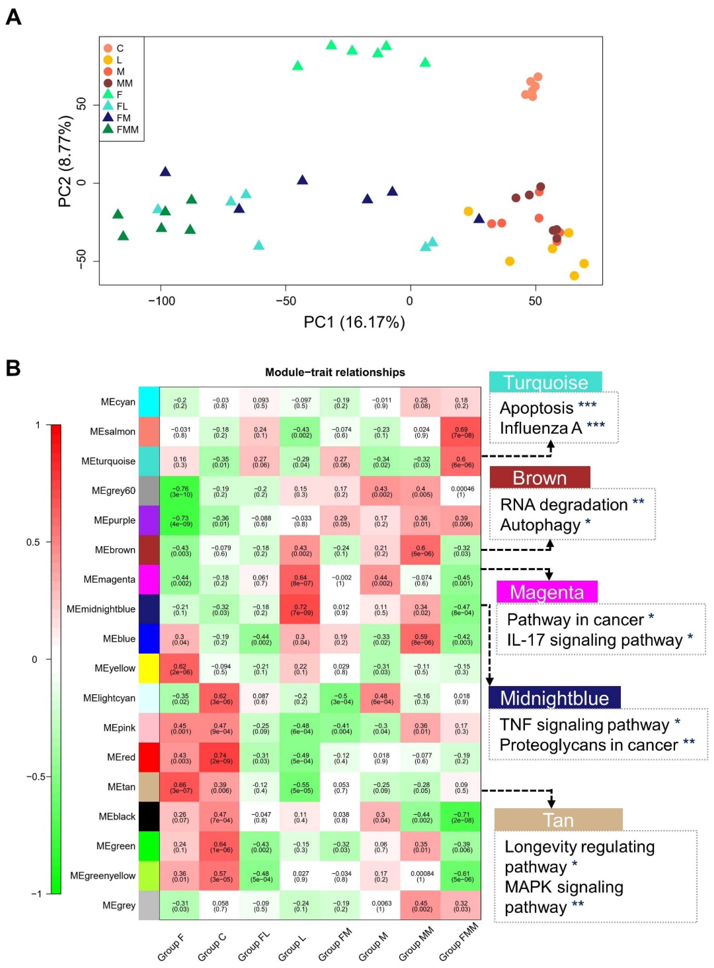 Biology 10 01164 g002
