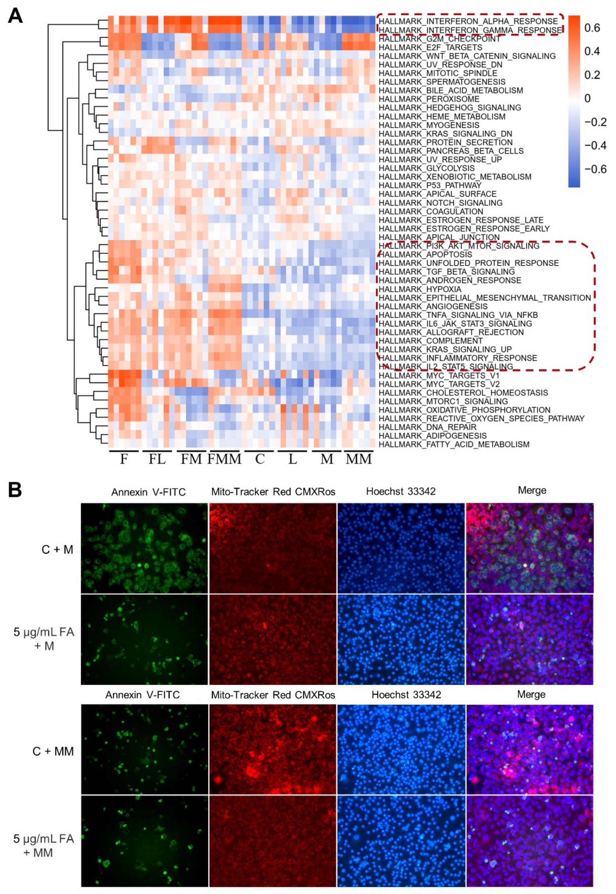 Biology 10 01164 g003