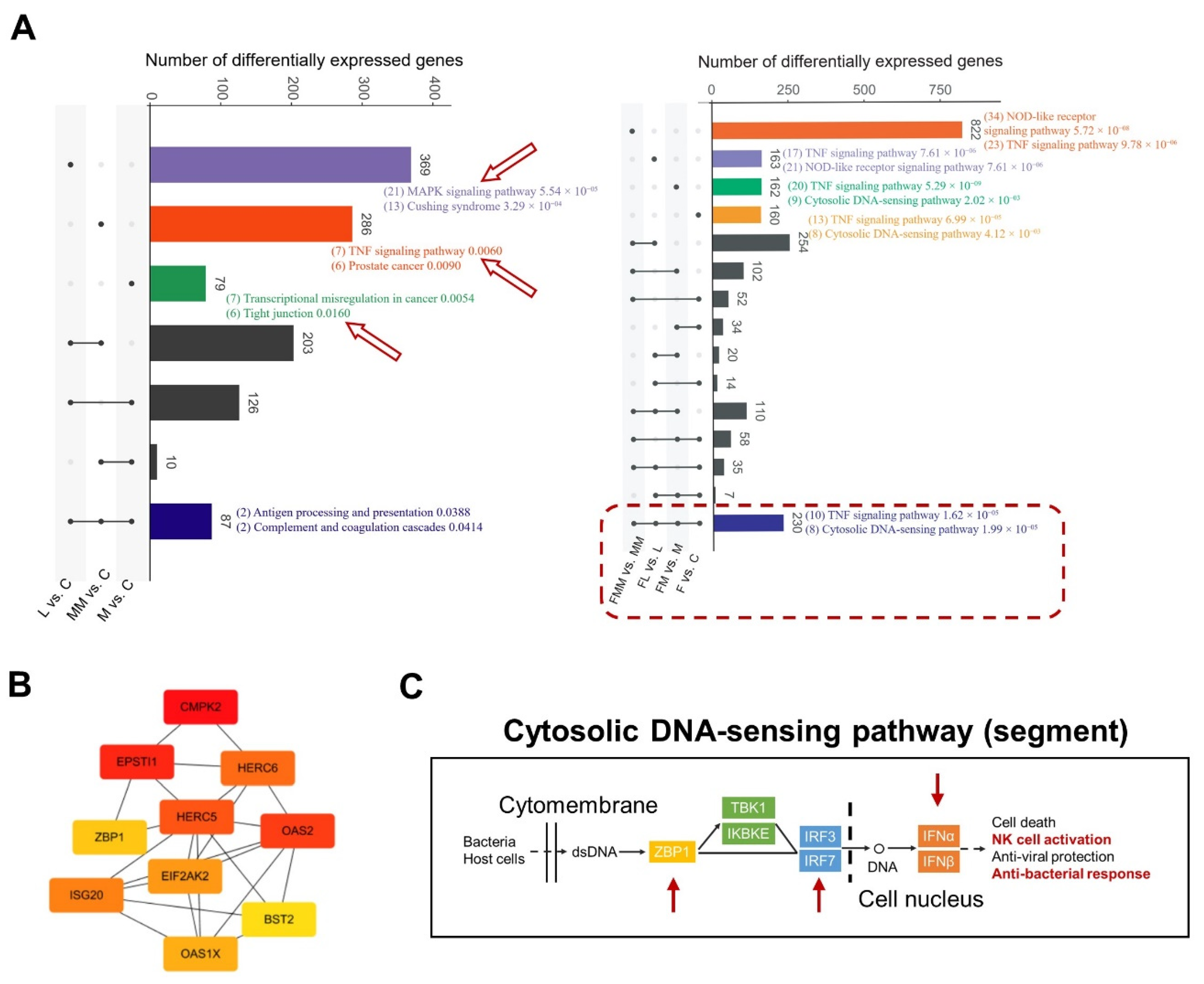 Biology 10 01164 g004