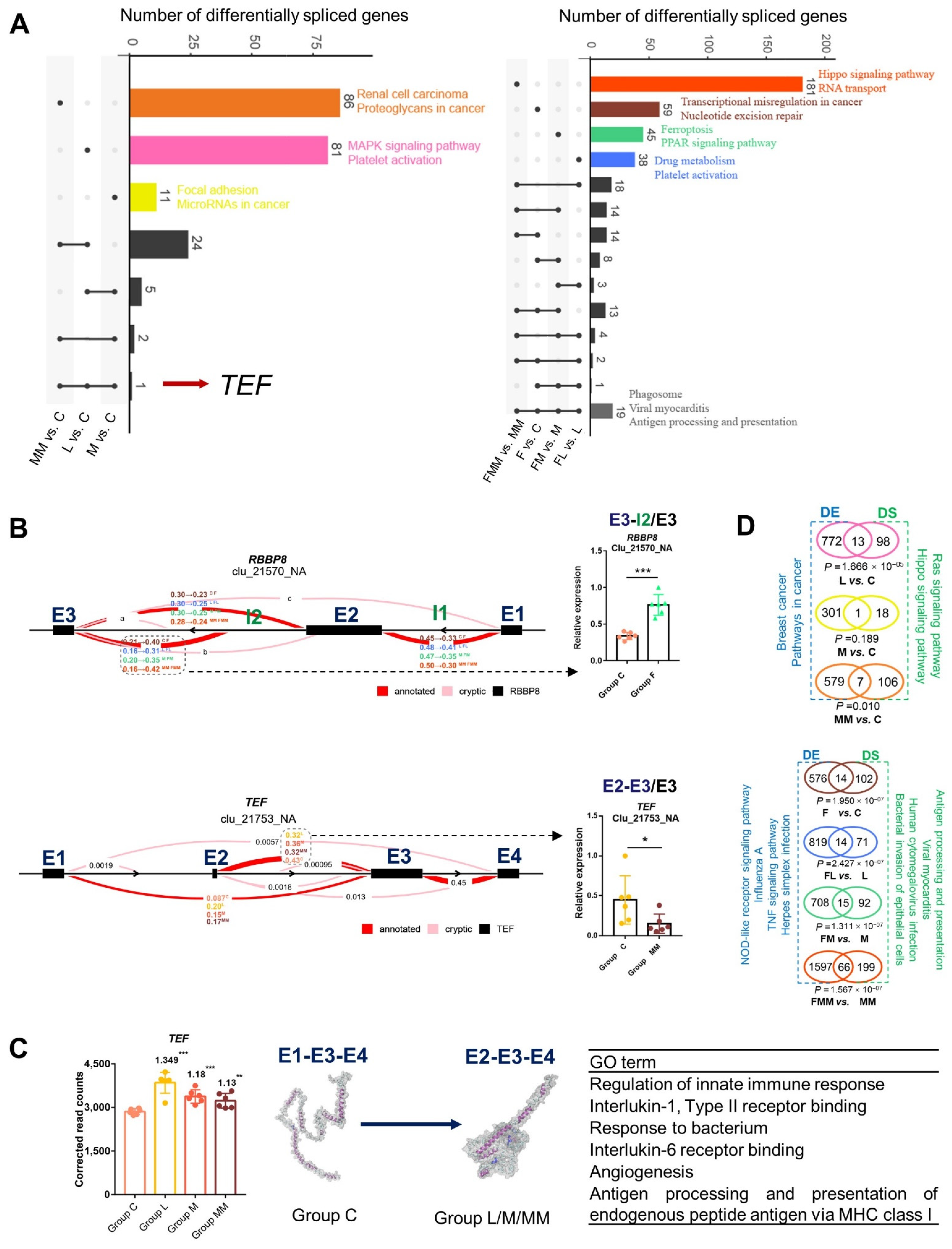 Biology 10 01164 g006