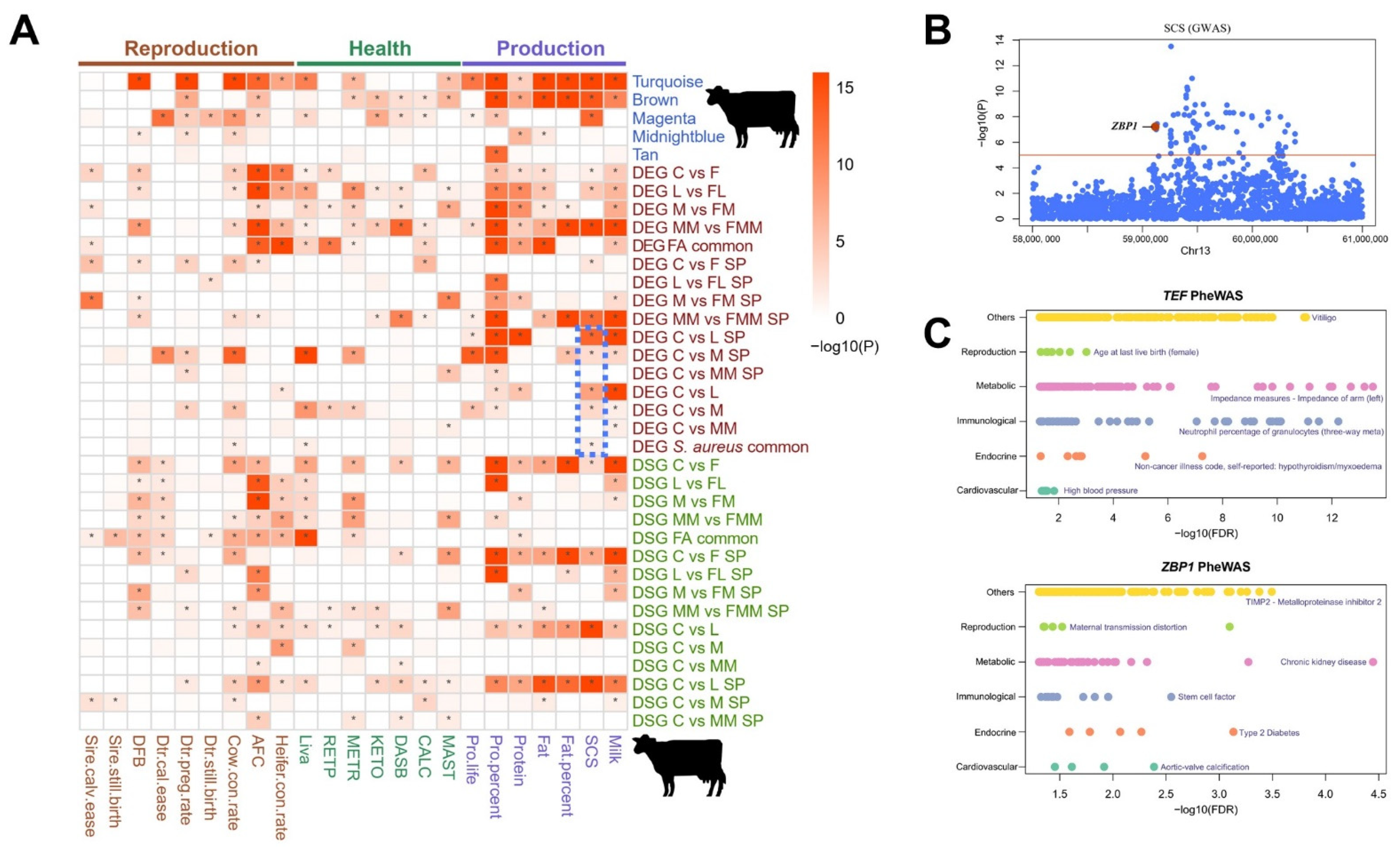 Biology 10 01164 g007
