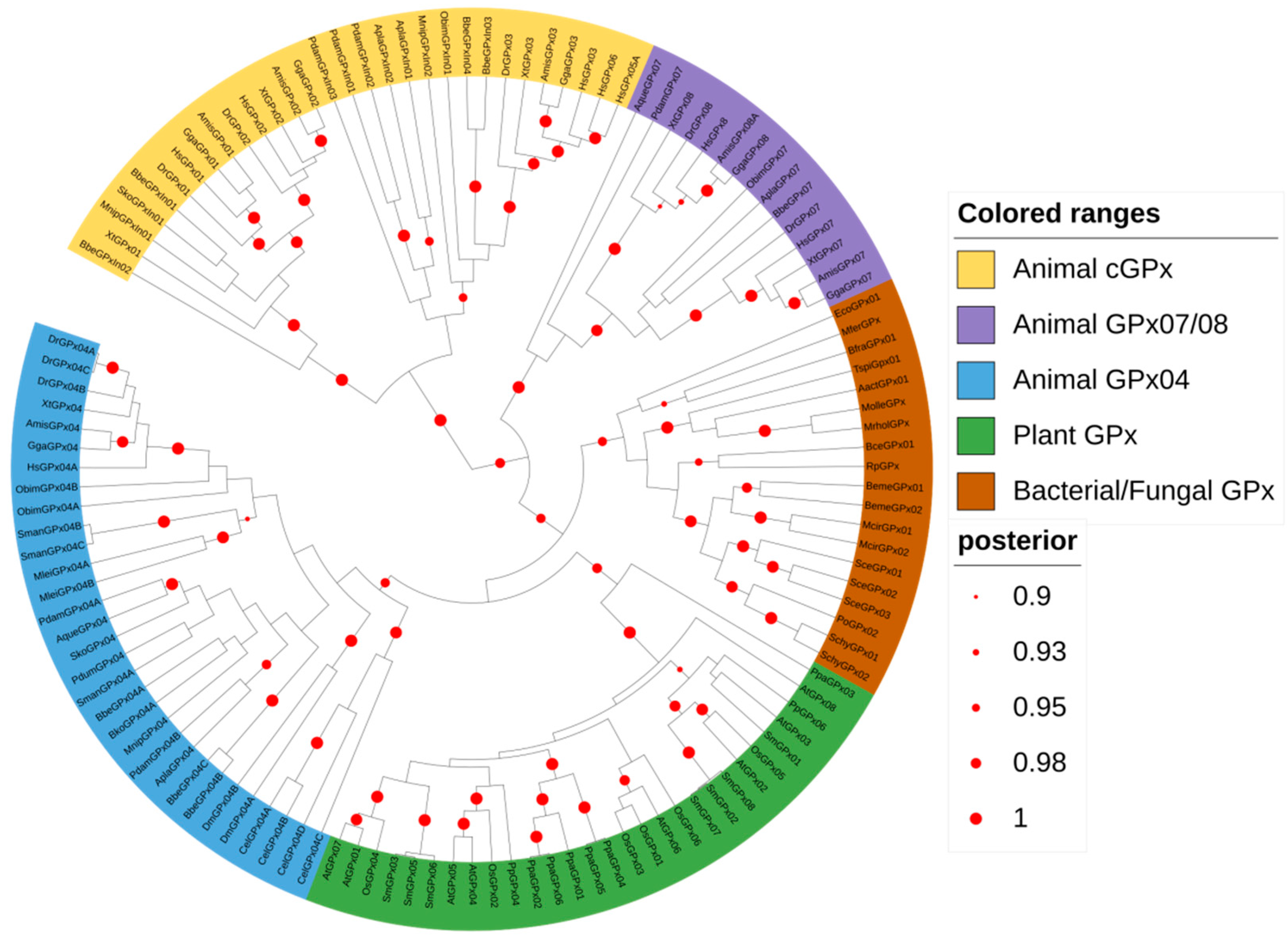 Biology 10 01165 g001