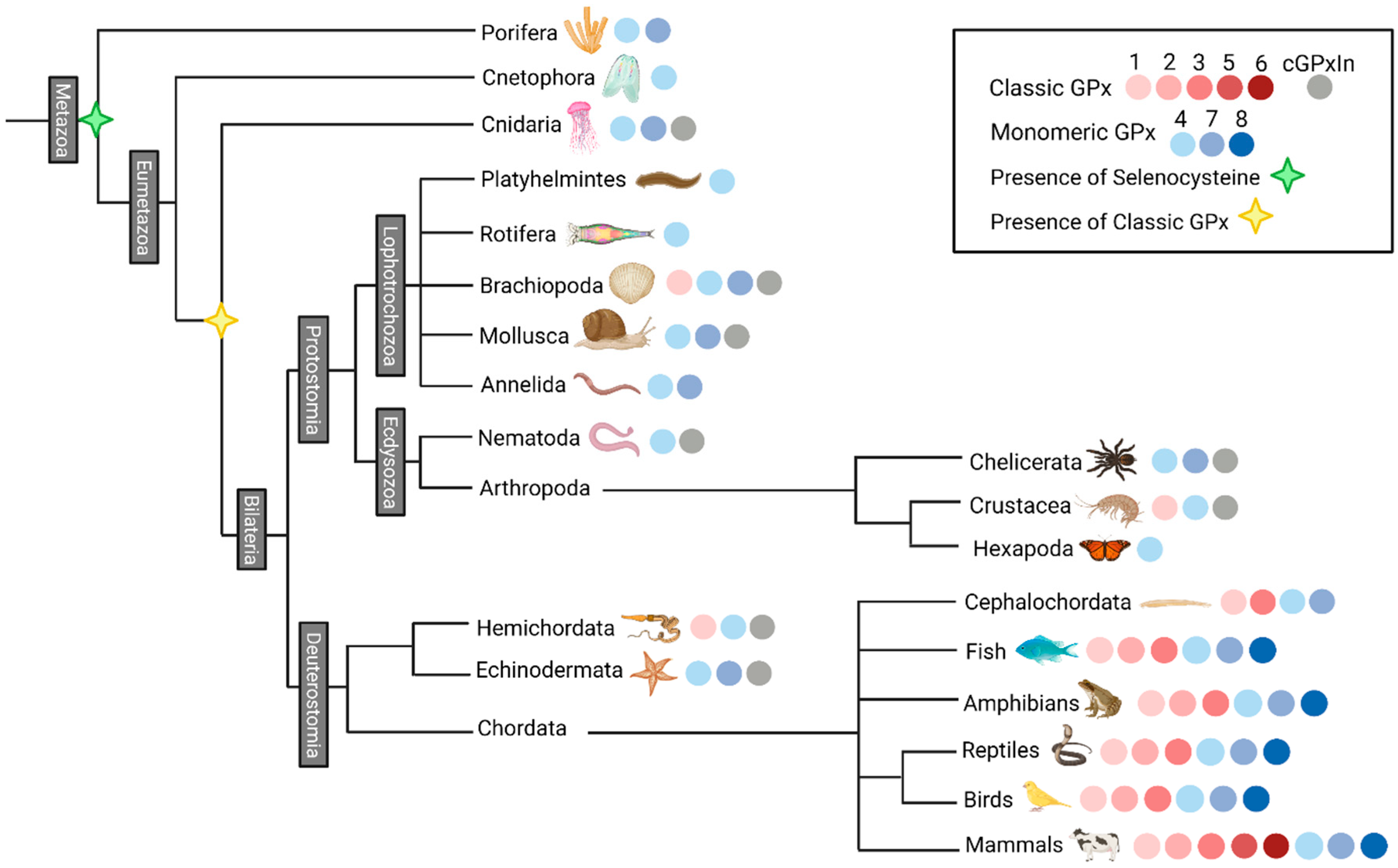 Biology 10 01165 g003