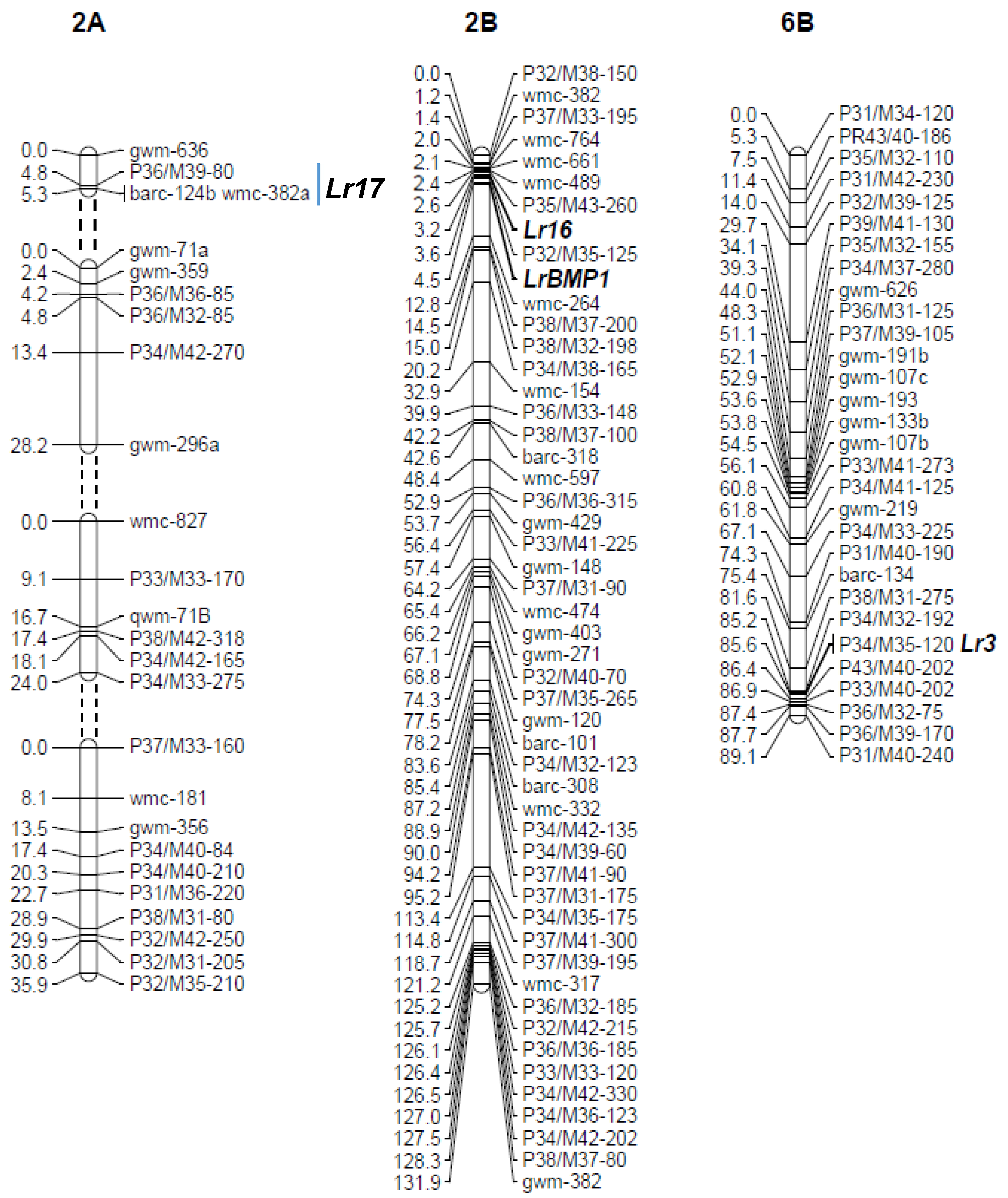 Biology 10 01168 g002