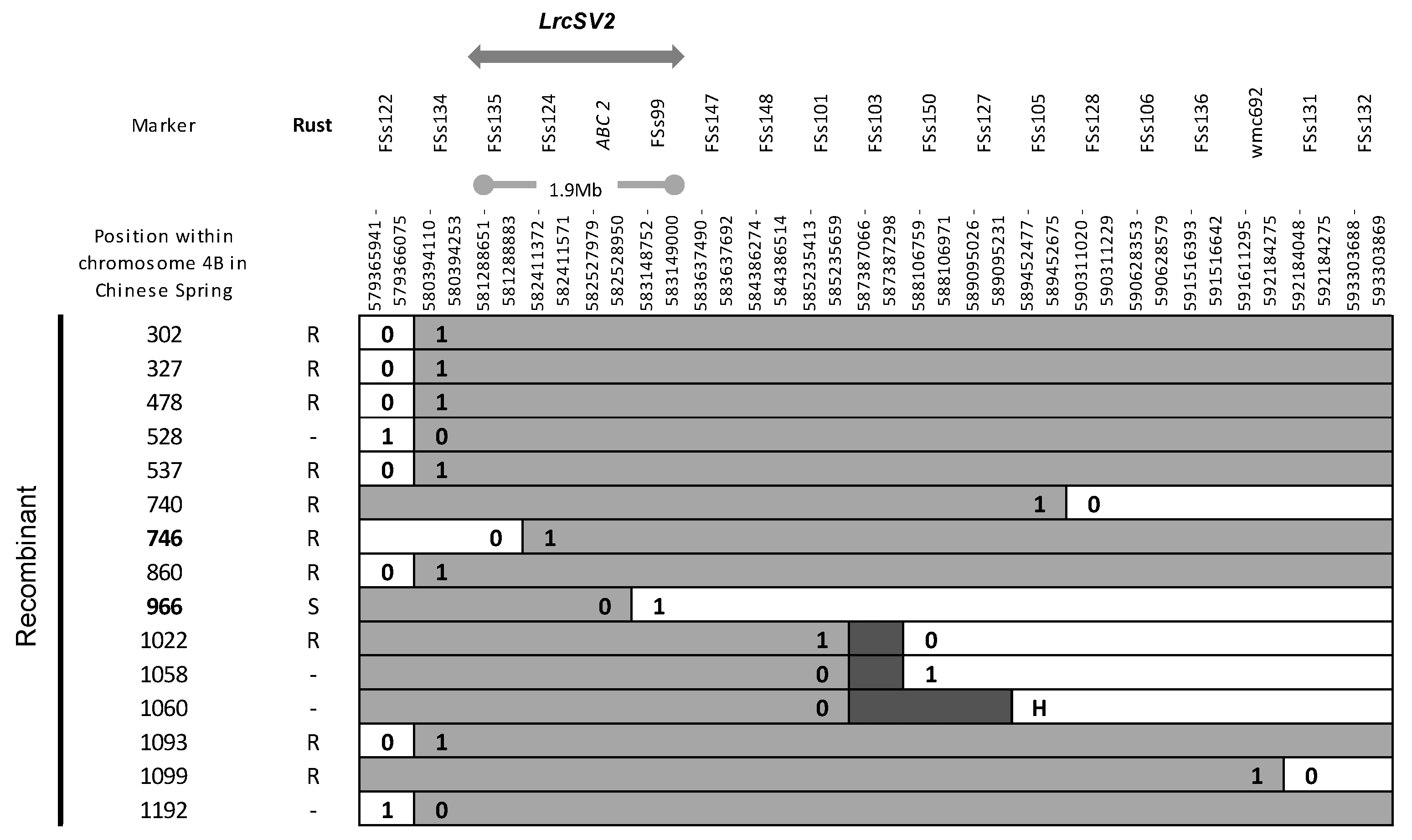 Biology 10 01168 g004