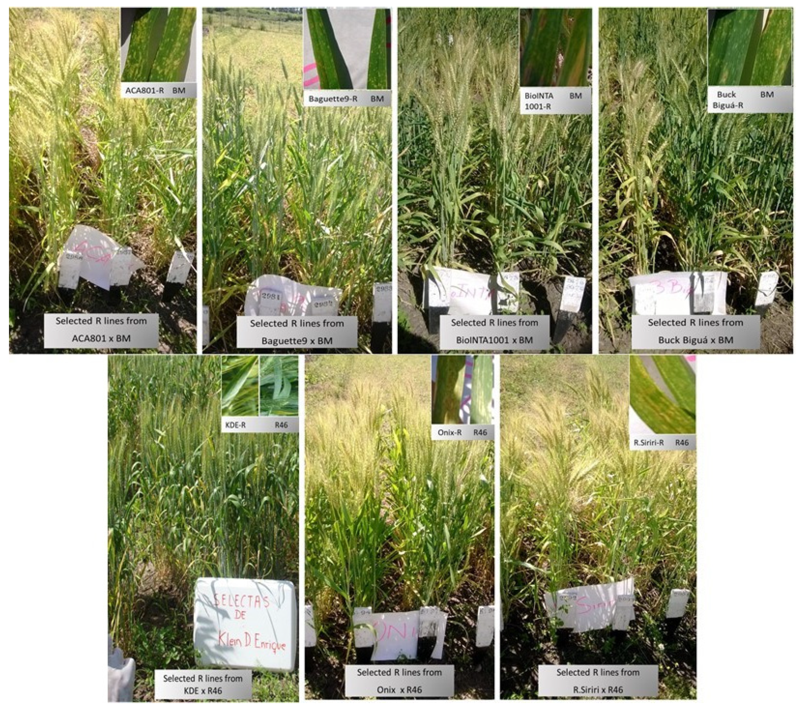 Biology 10 01168 g005