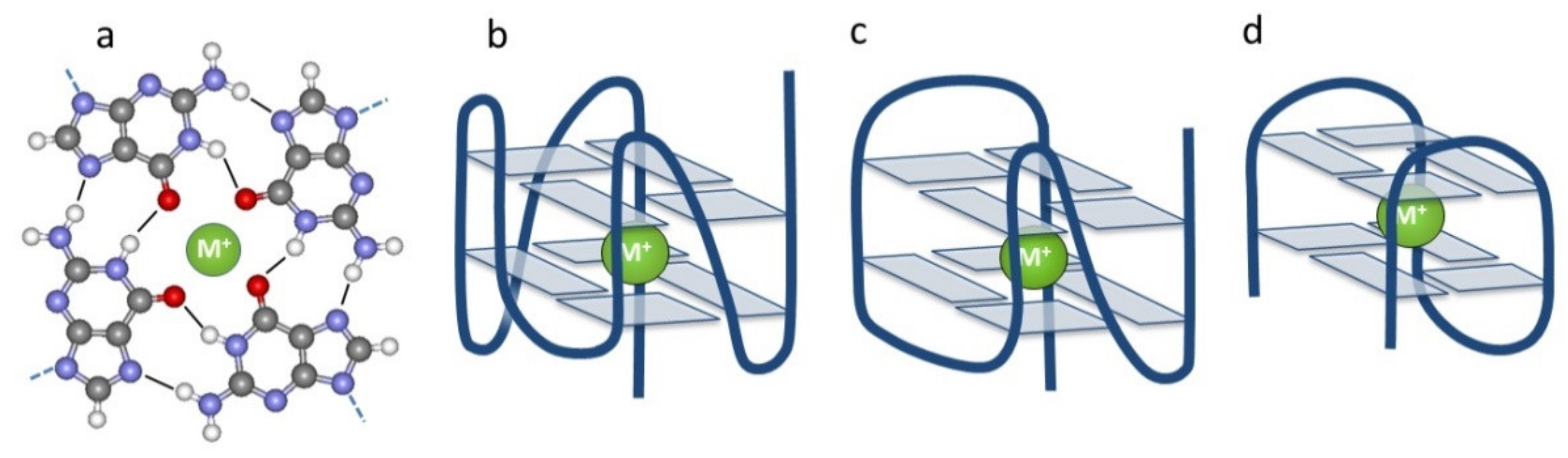 Biology 10 01173 g001