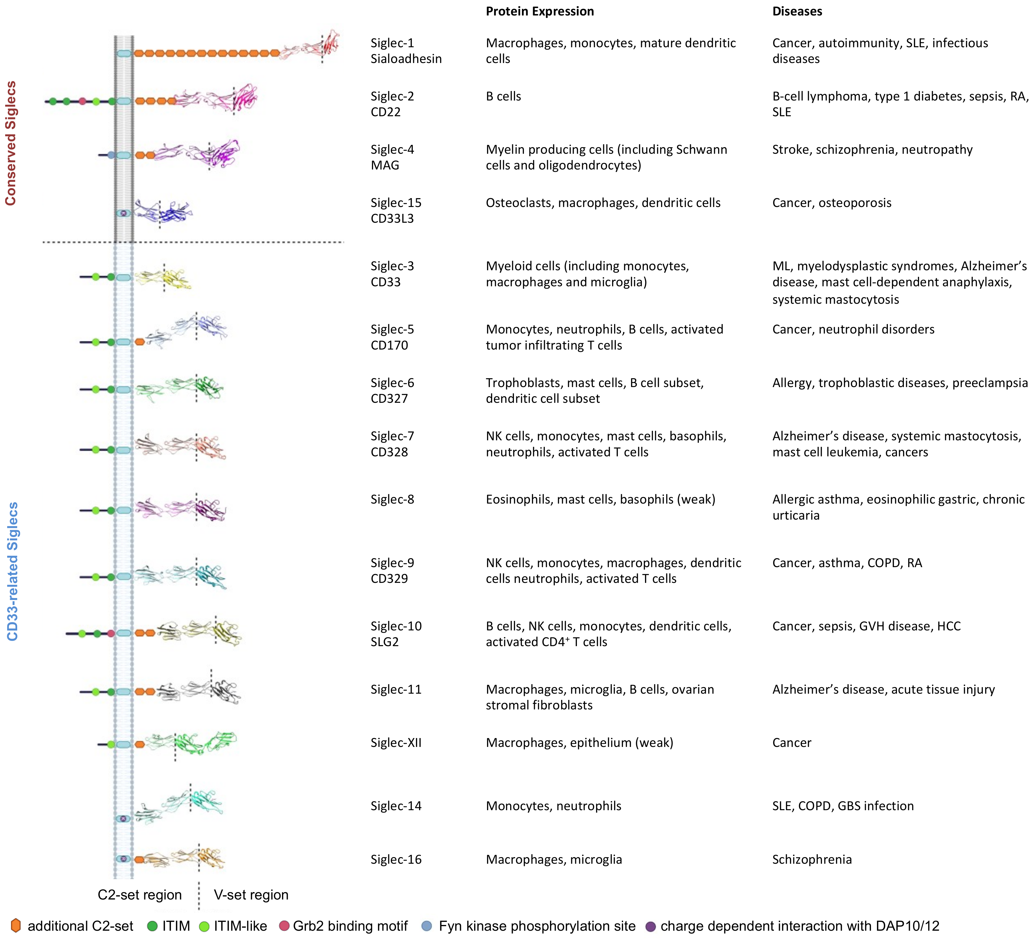 Biology 10 01178 g001 Biology 10 01178 g001