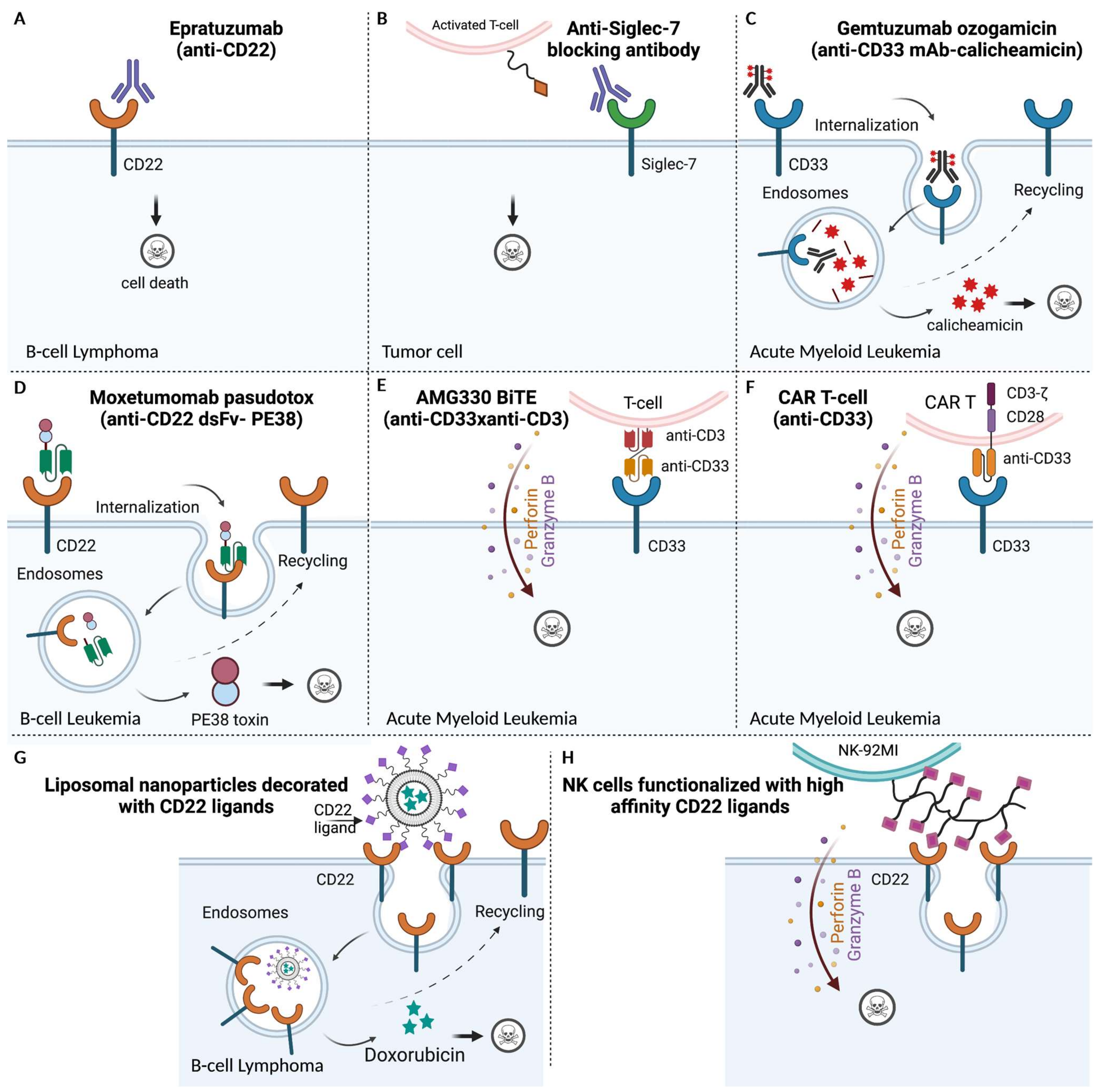 Biology 10 01178 g005 Biology 10 01178 g005
