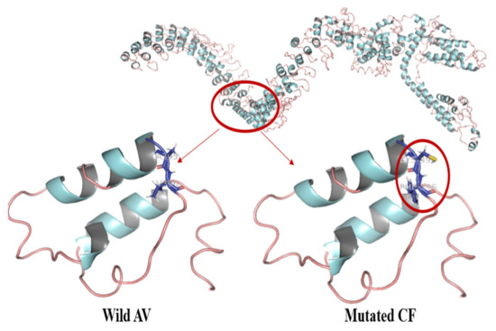 Biology 10 01182 g002