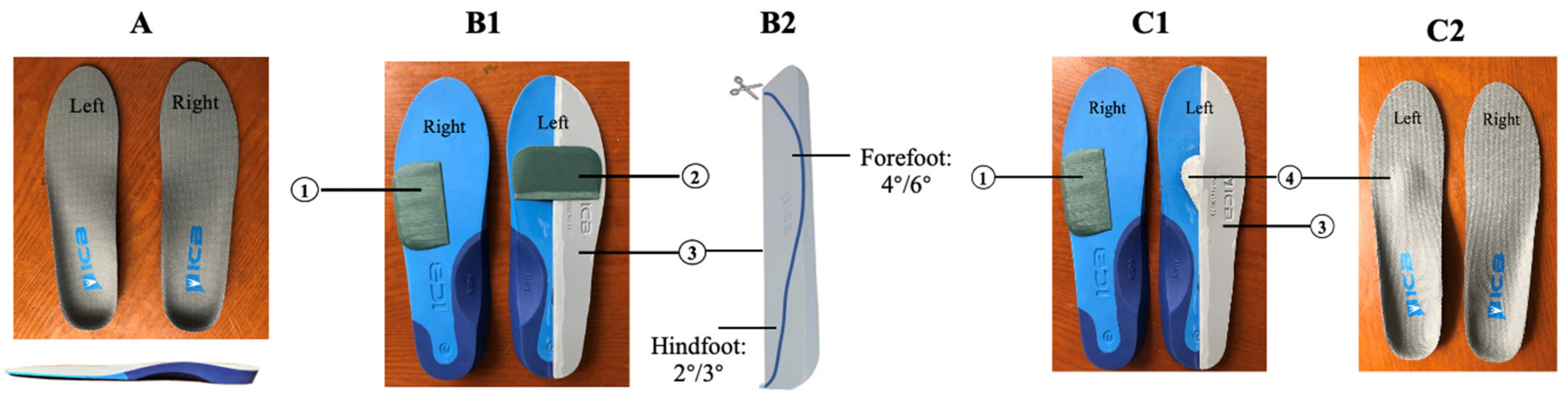Biology 10 01187 g002