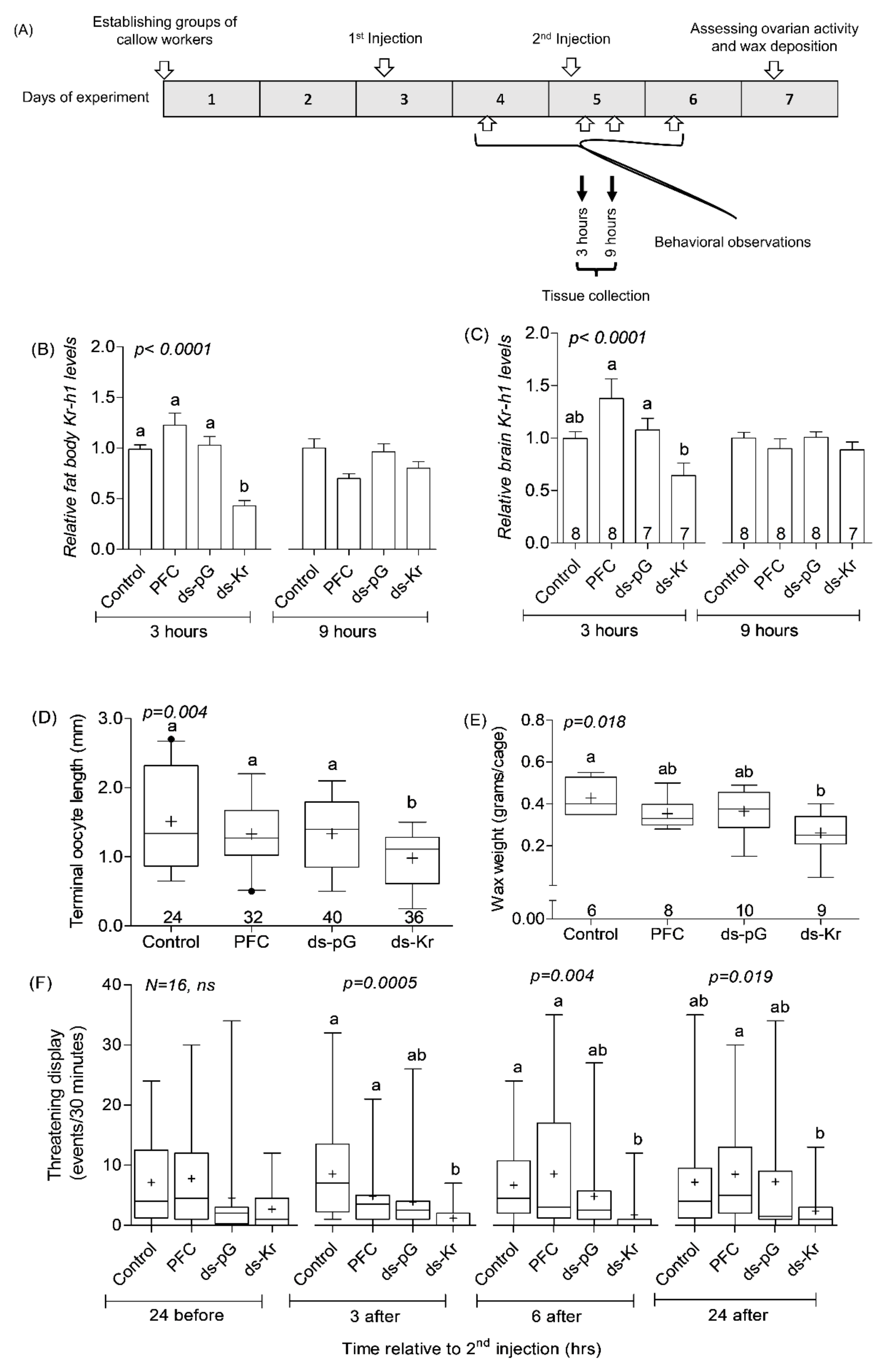 Biology 10 01188 g001