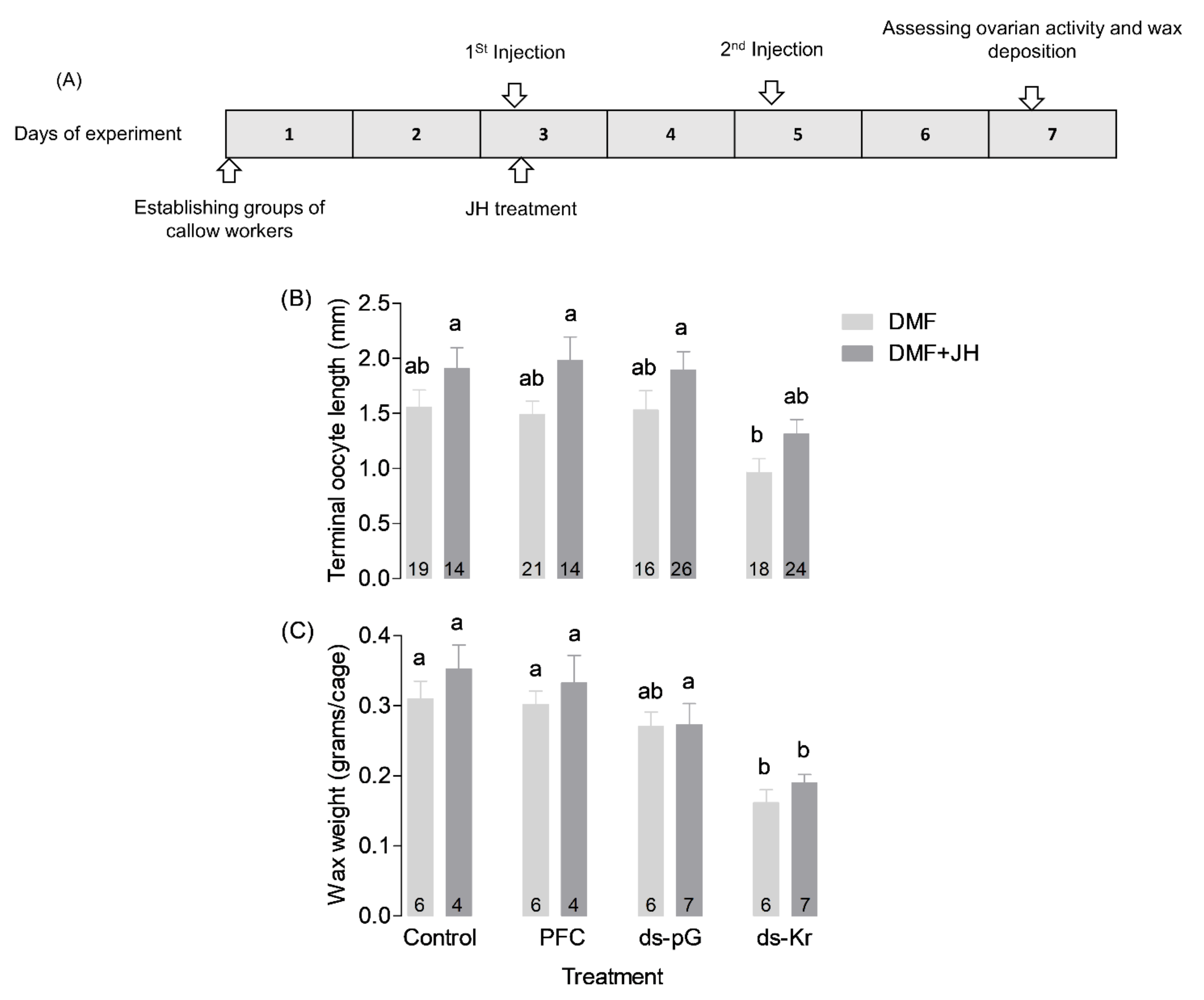 Biology 10 01188 g002