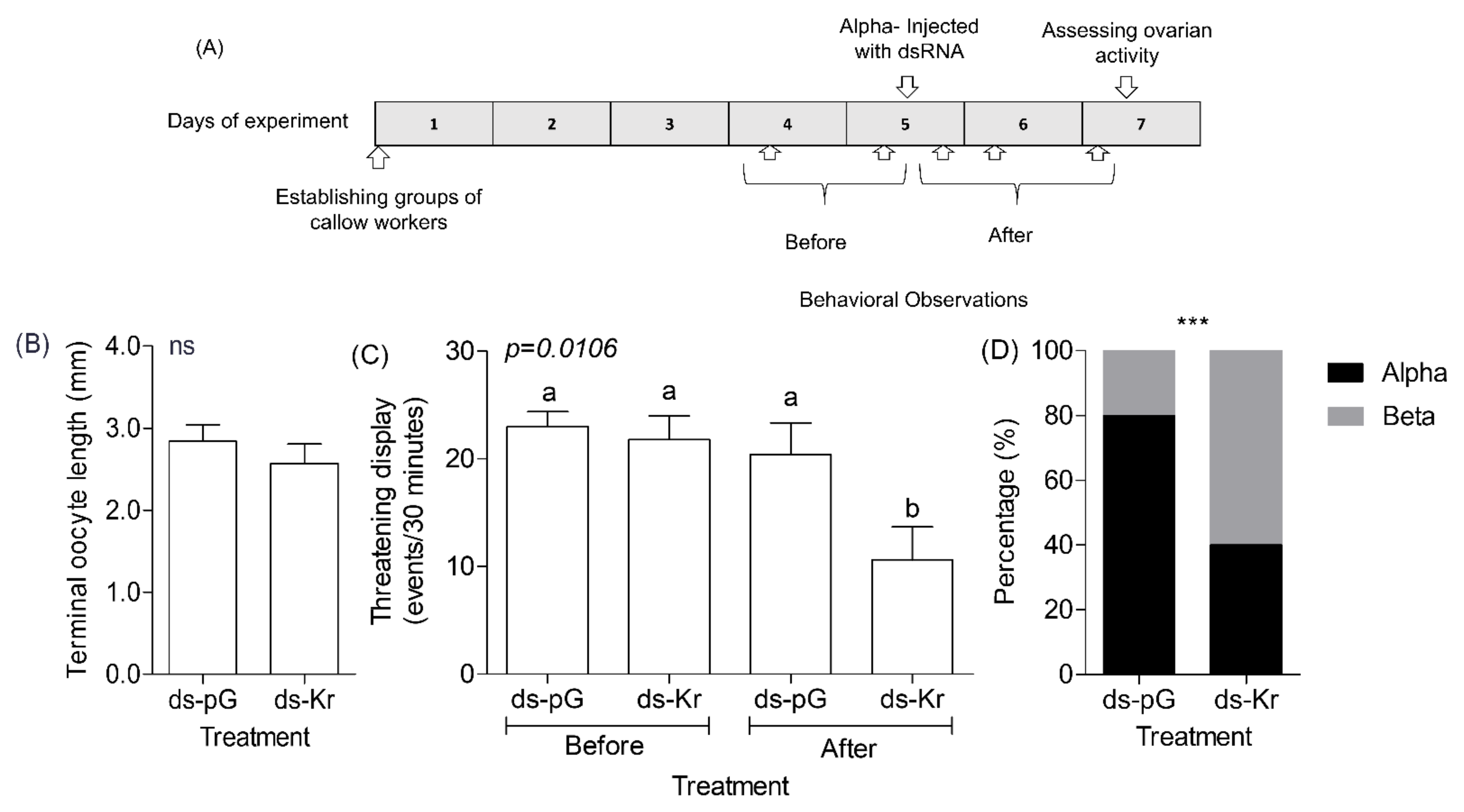 Biology 10 01188 g004