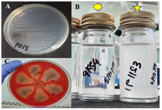 Biology 10 01192 g0a1 550