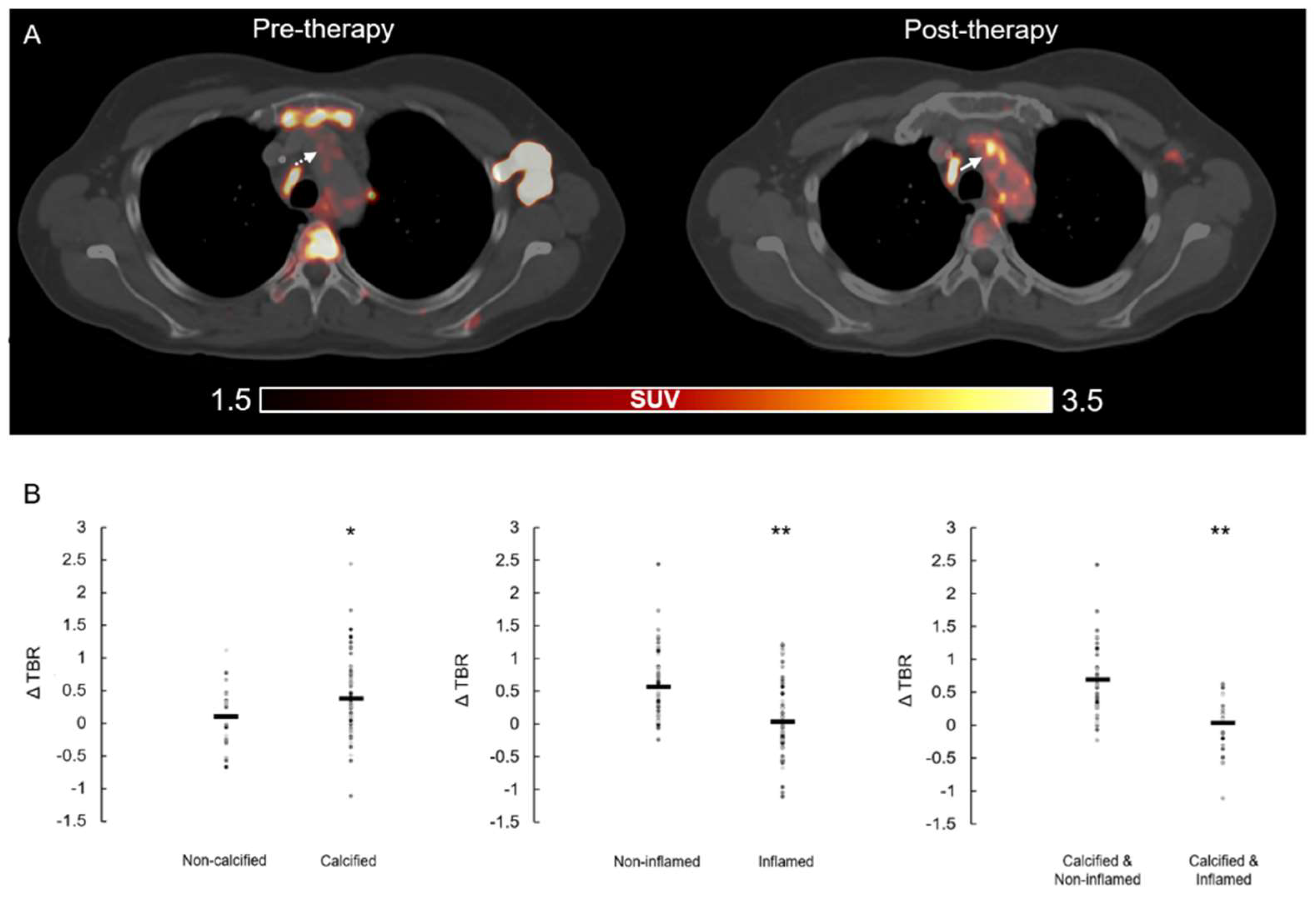 Biology 10 01206 g001