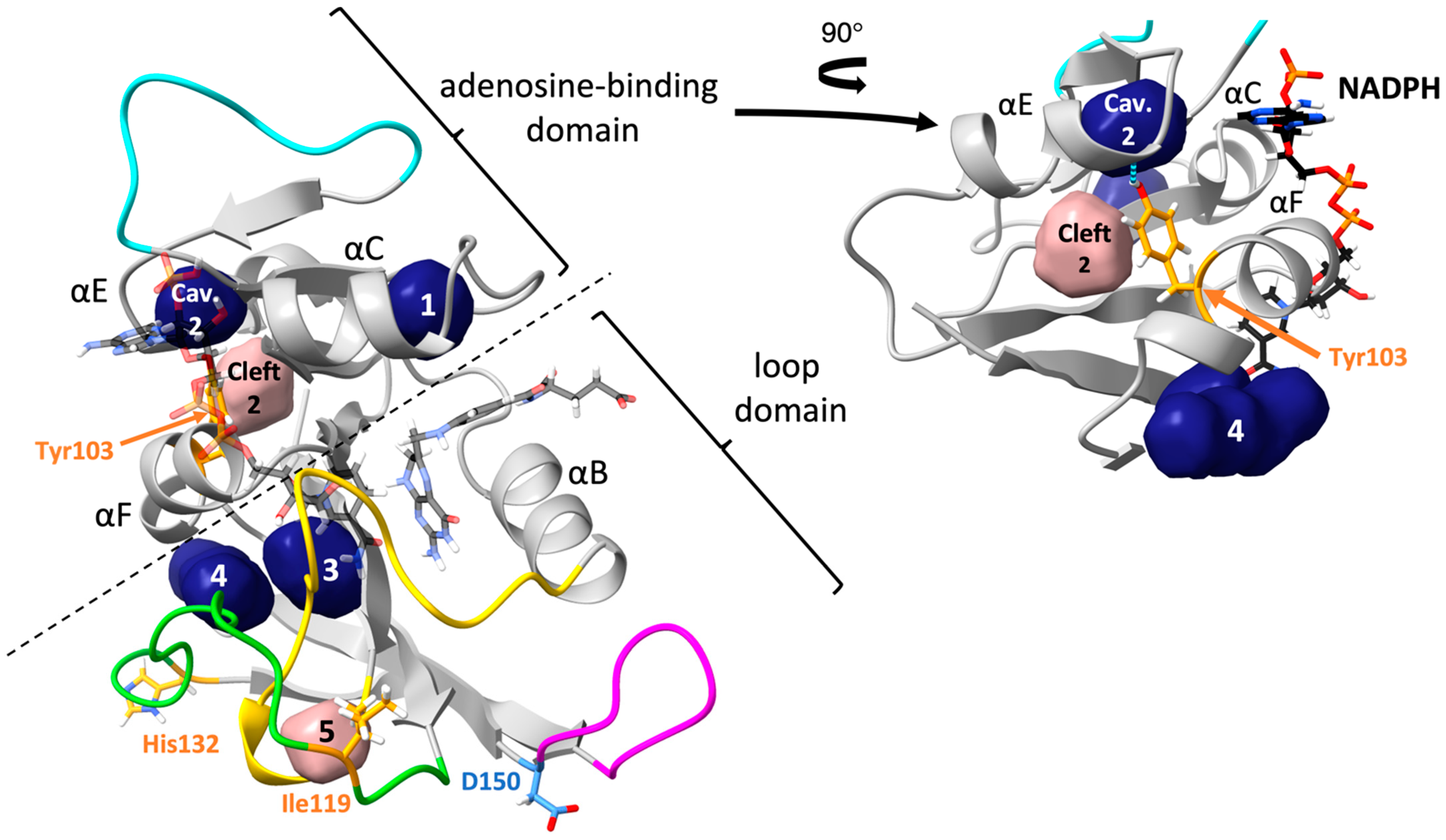 Biology 10 01211 g003