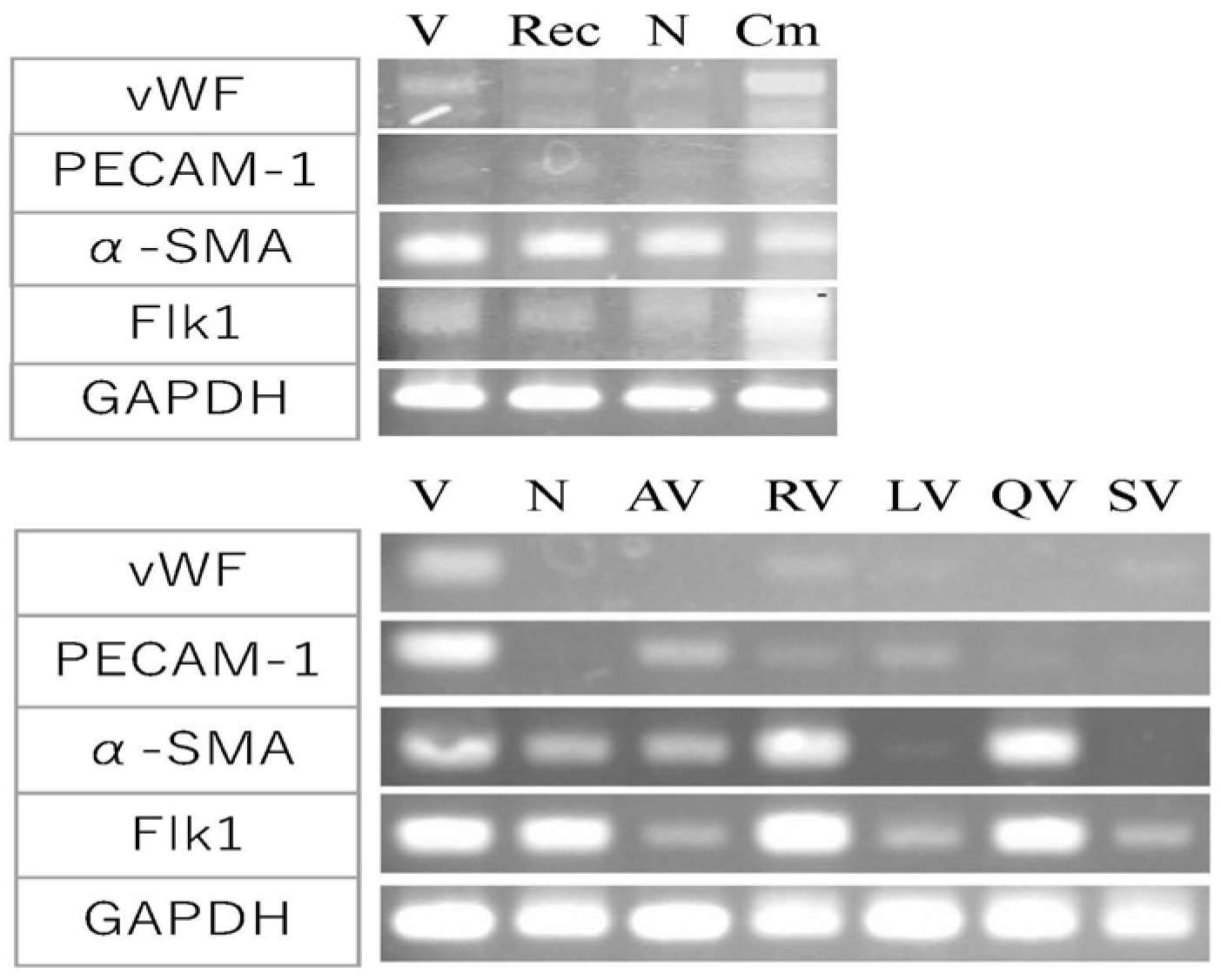 Biology 10 01212 g007