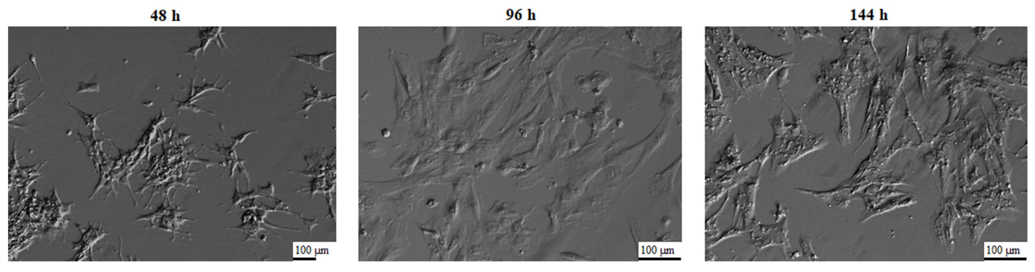 Biology 10 01214 g001