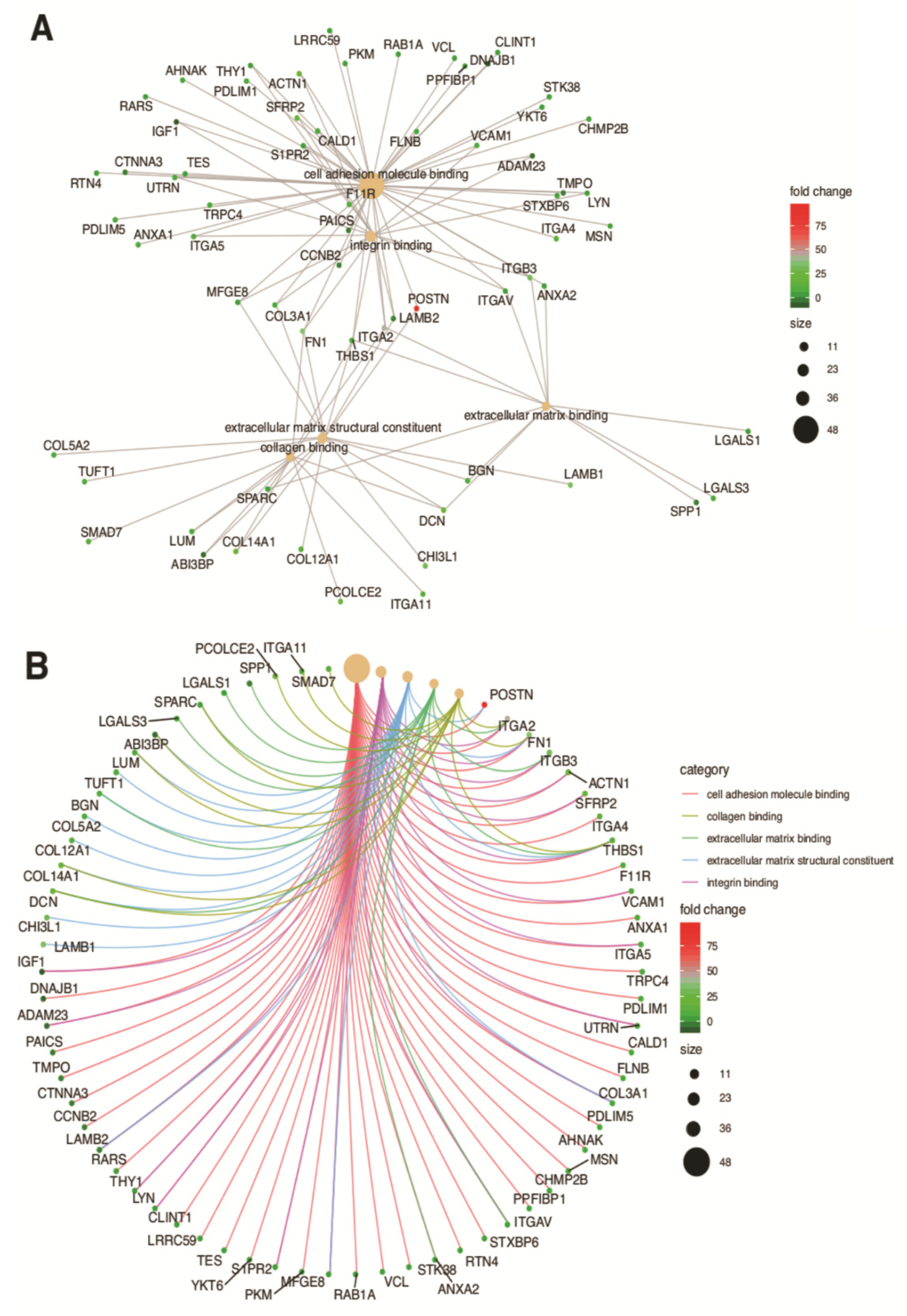 Biology 10 01214 g005