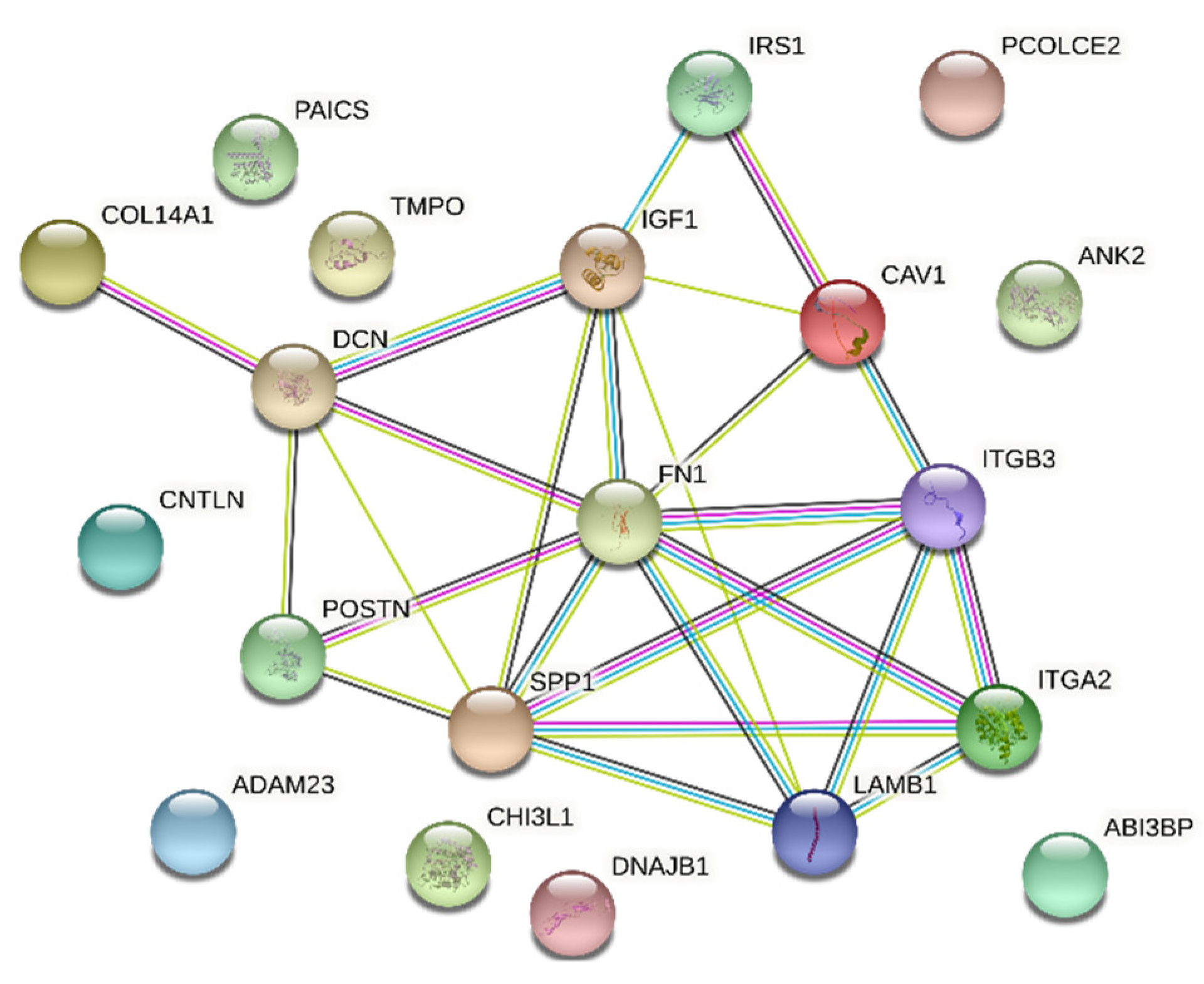 Biology 10 01214 g007