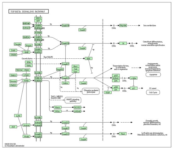 Biology 10 01214 g0a1