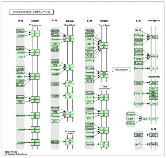 Biology 10 01214 g0a2