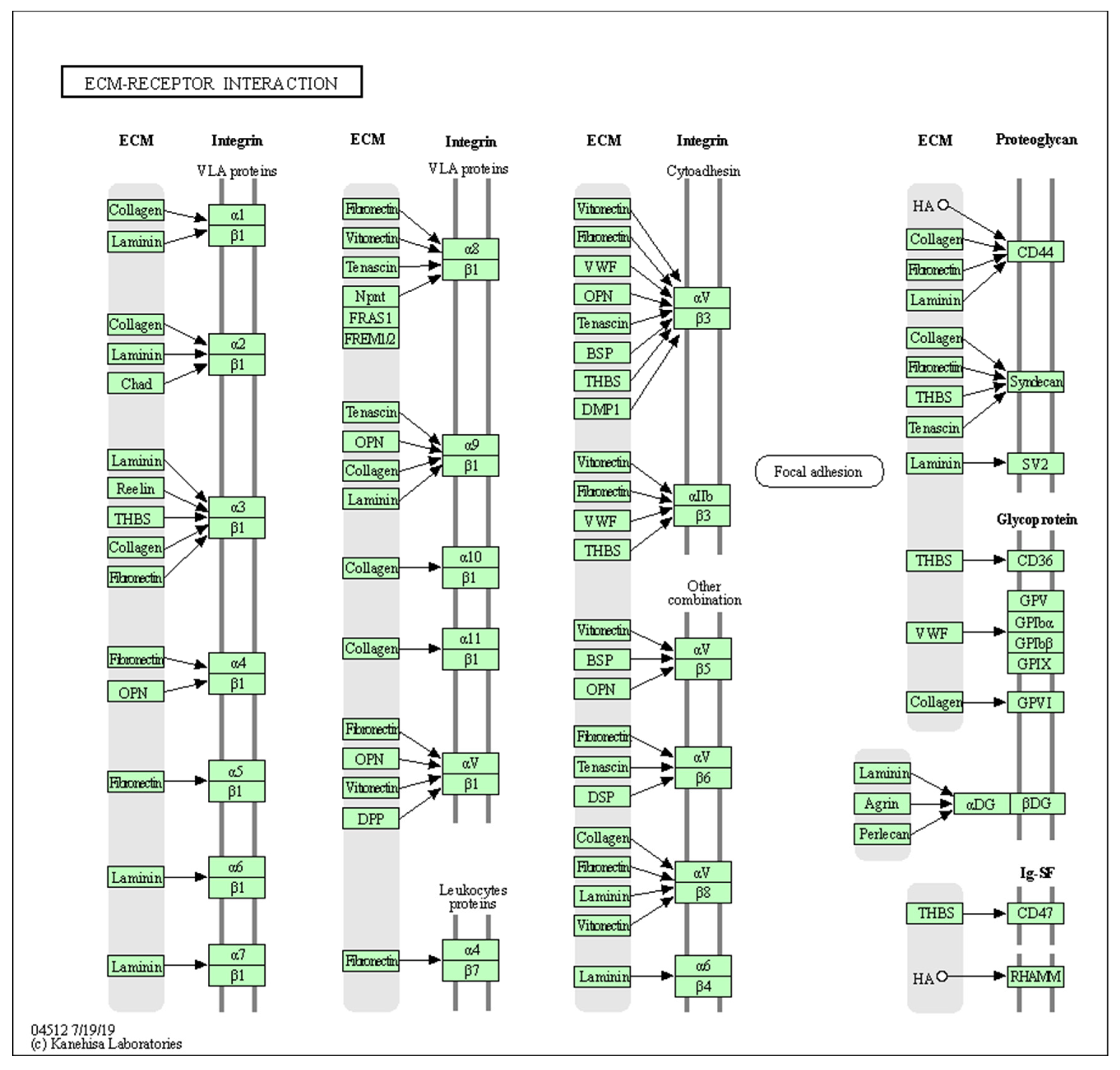 Biology 10 01214 g0a2