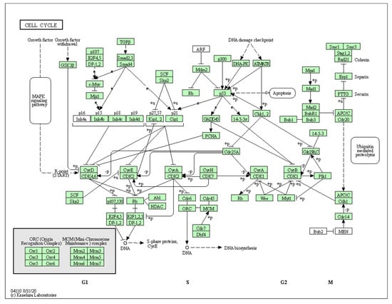 Biology 10 01214 g0a3