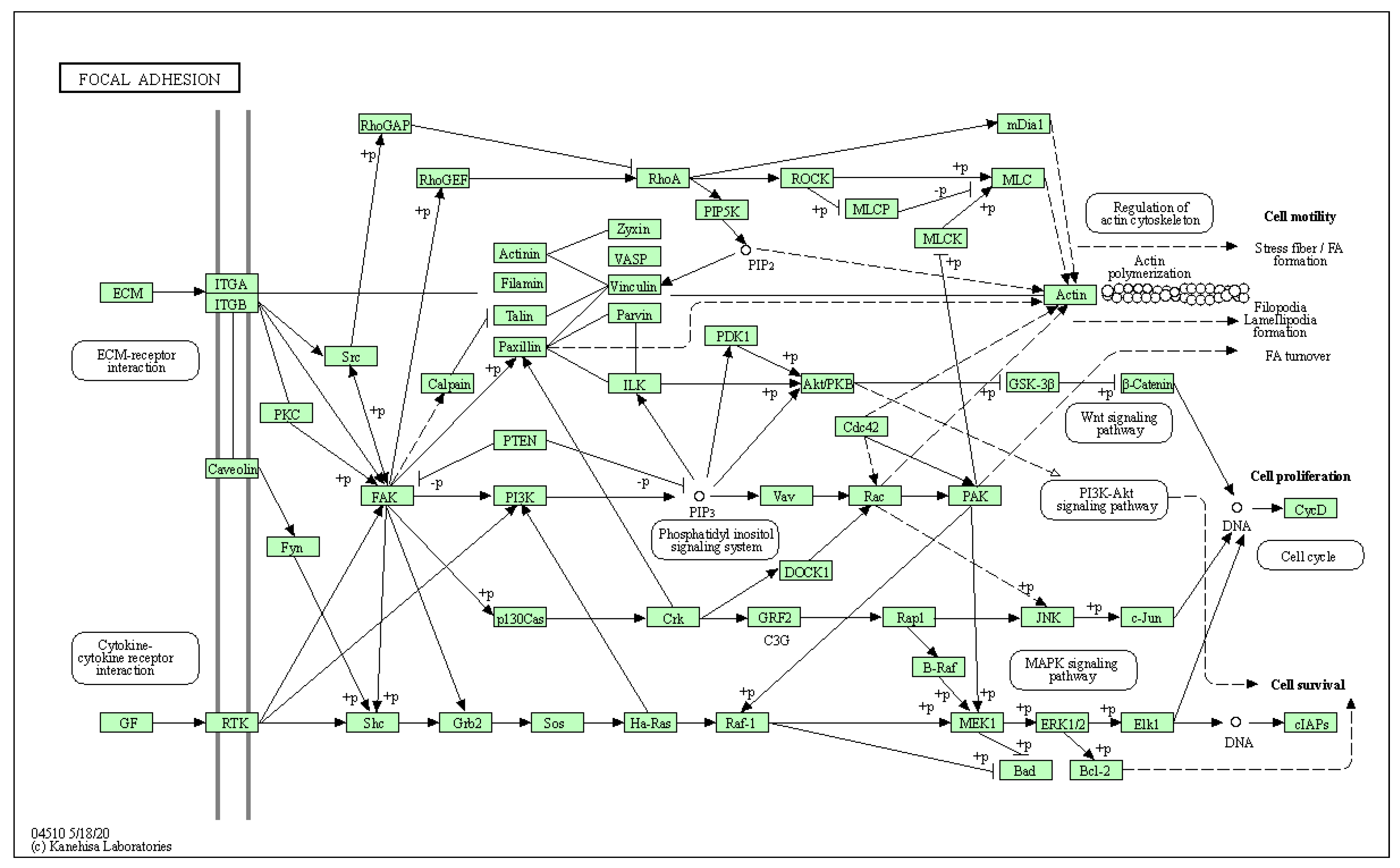Biology 10 01214 g0a4