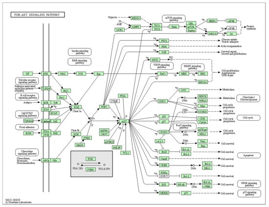 Biology 10 01214 g0a5