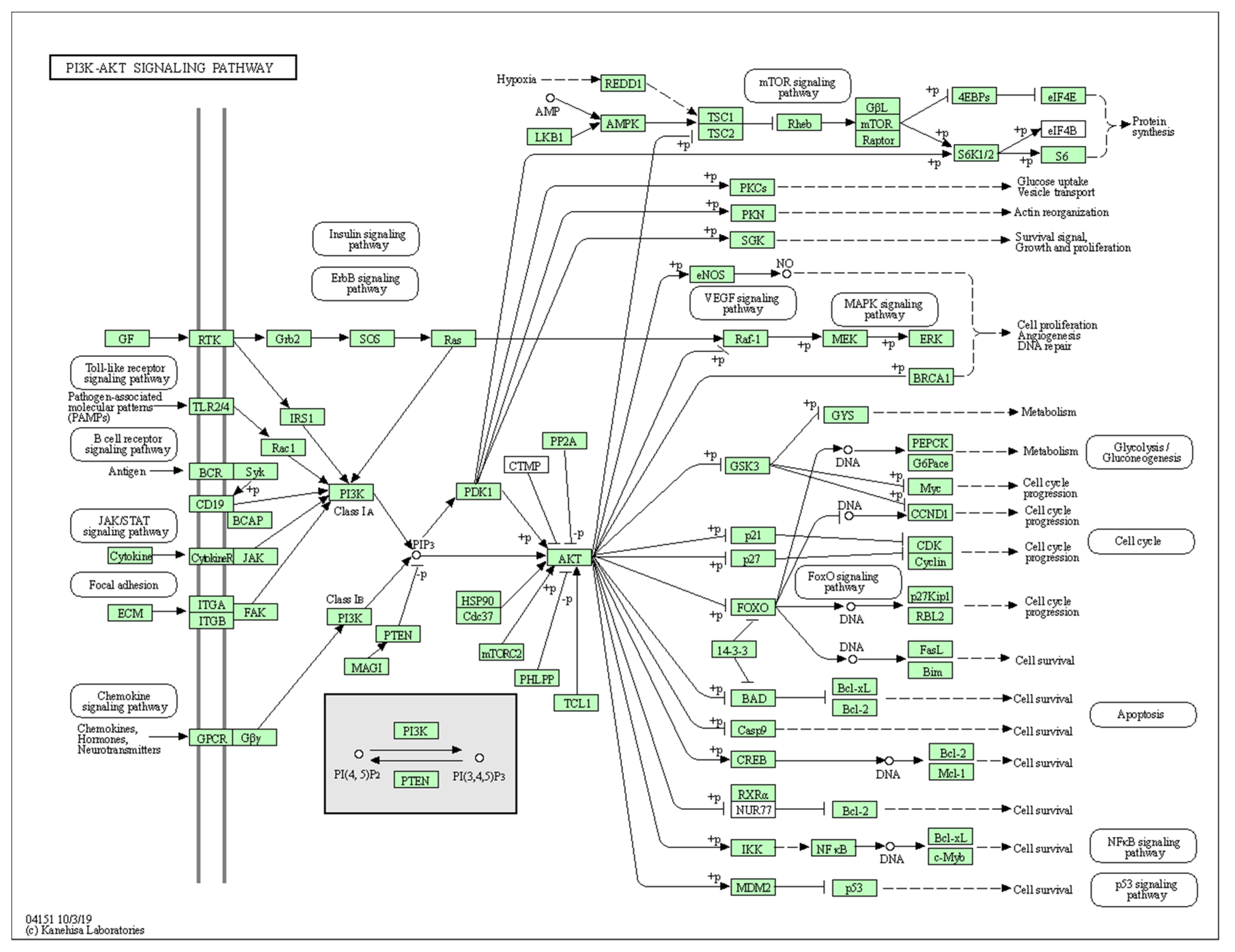 Biology 10 01214 g0a5