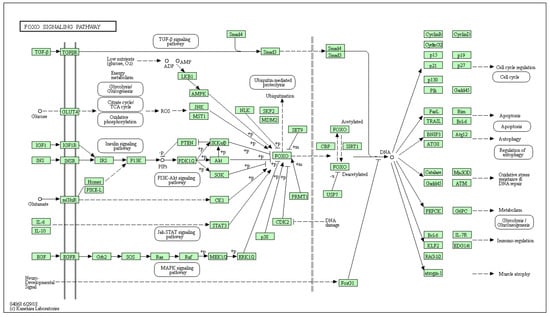 Biology 10 01214 g0a6
