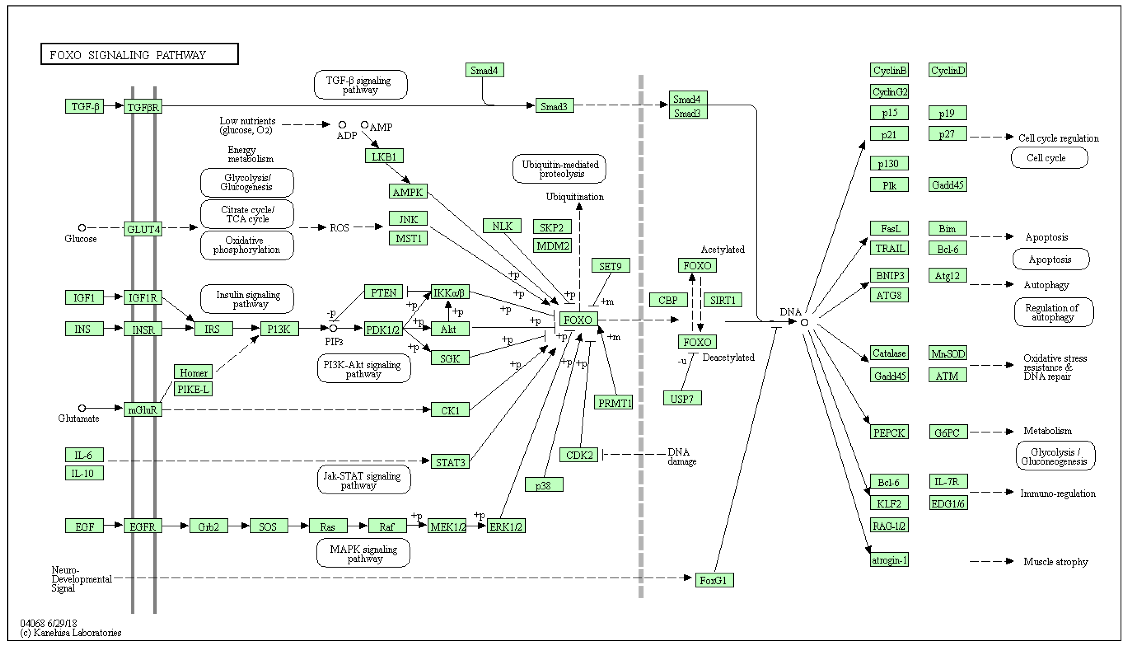 Biology 10 01214 g0a6