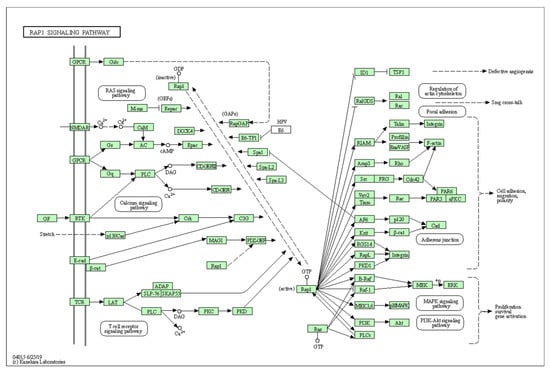 Biology 10 01214 g0a7